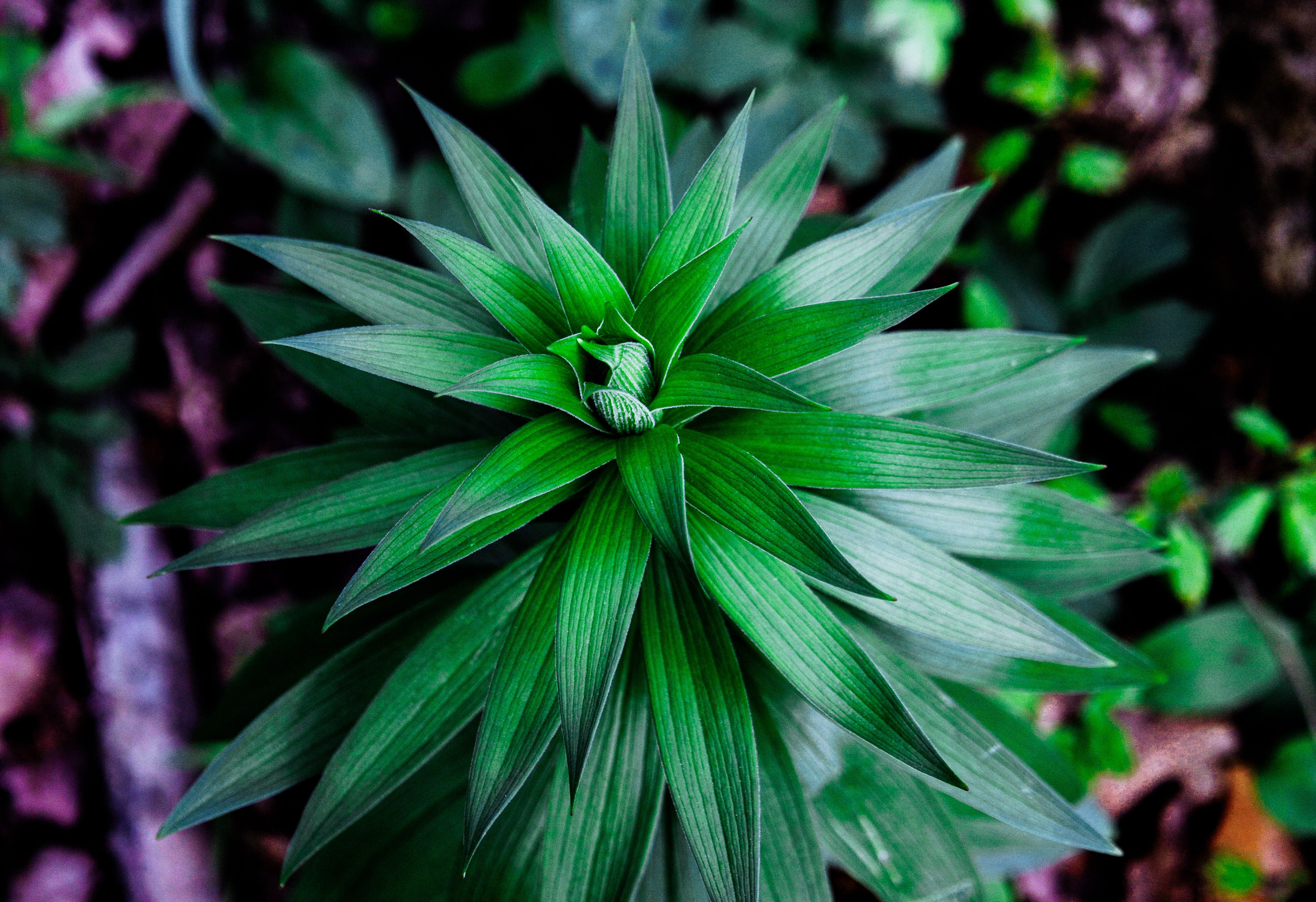 Адыгея. Водопады Руфабго 13.04.24. Фотограф katya_vkadre Таганрог