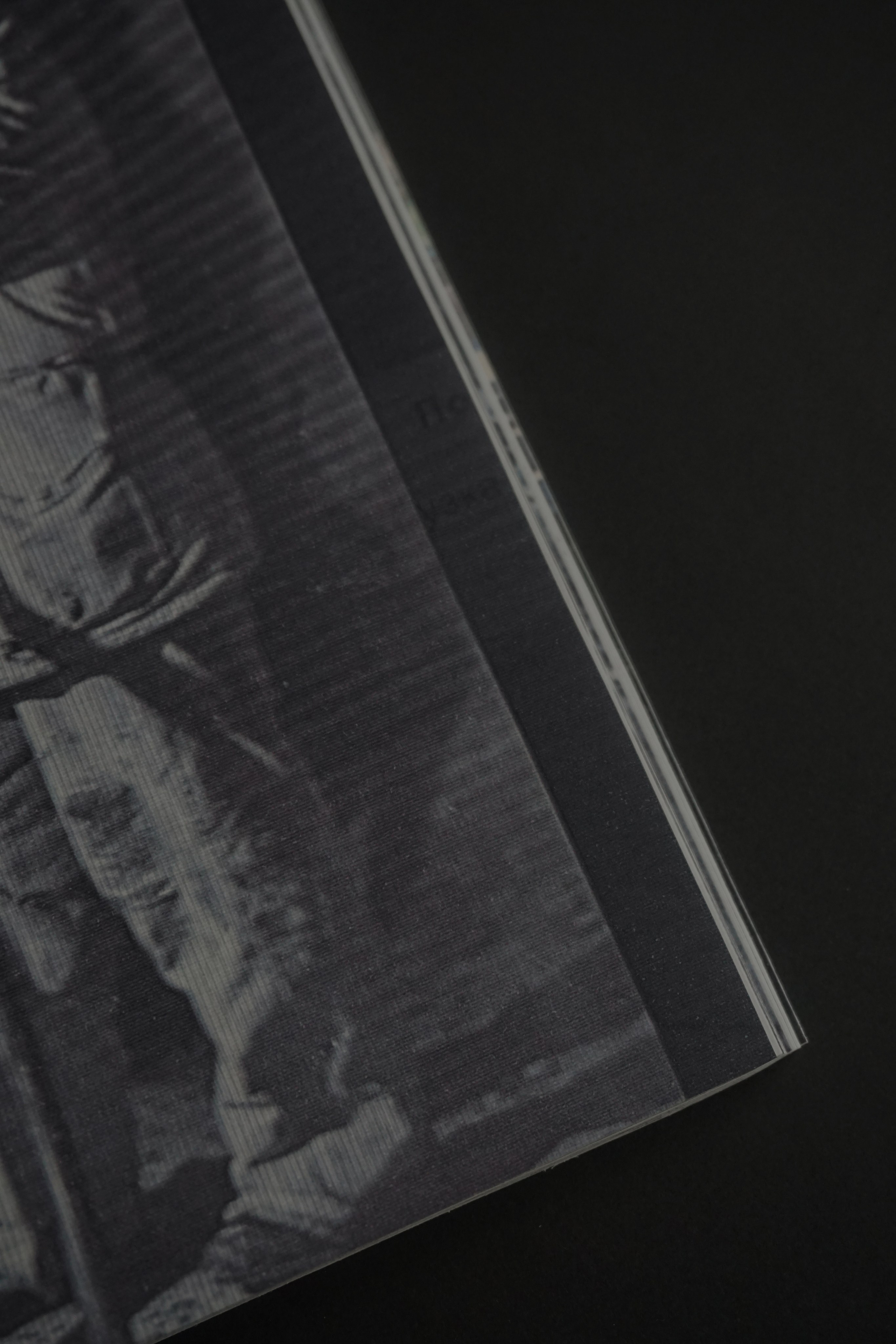 Overview. Anastasia Maryasova