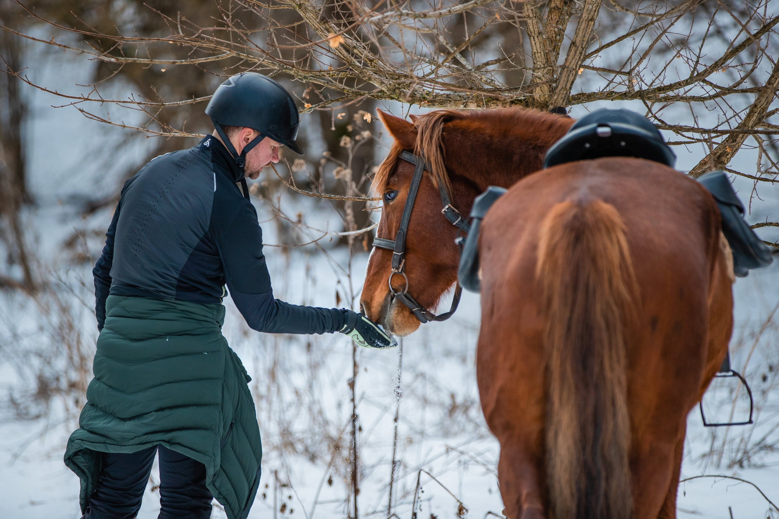 Фототуры в Карачаево-Черкессии 2019-2020. Фотограф-анималист Ксендзова Кристина