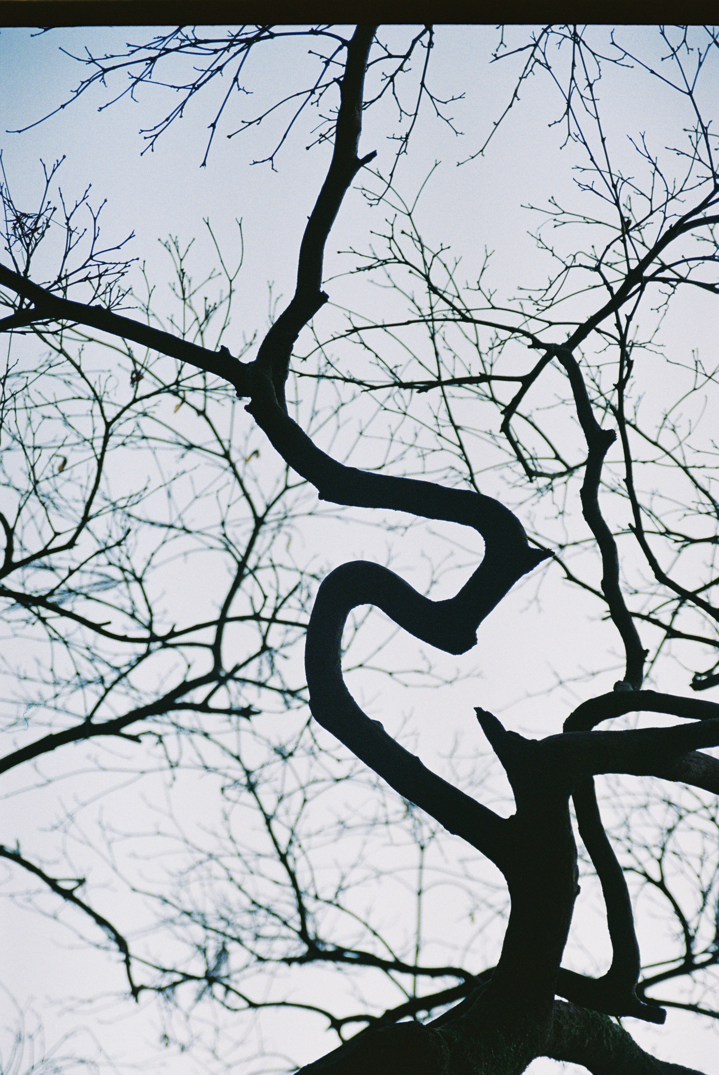 ON THE GO. Сocoobird || Атмосфера твоего бренда в снимках и видео