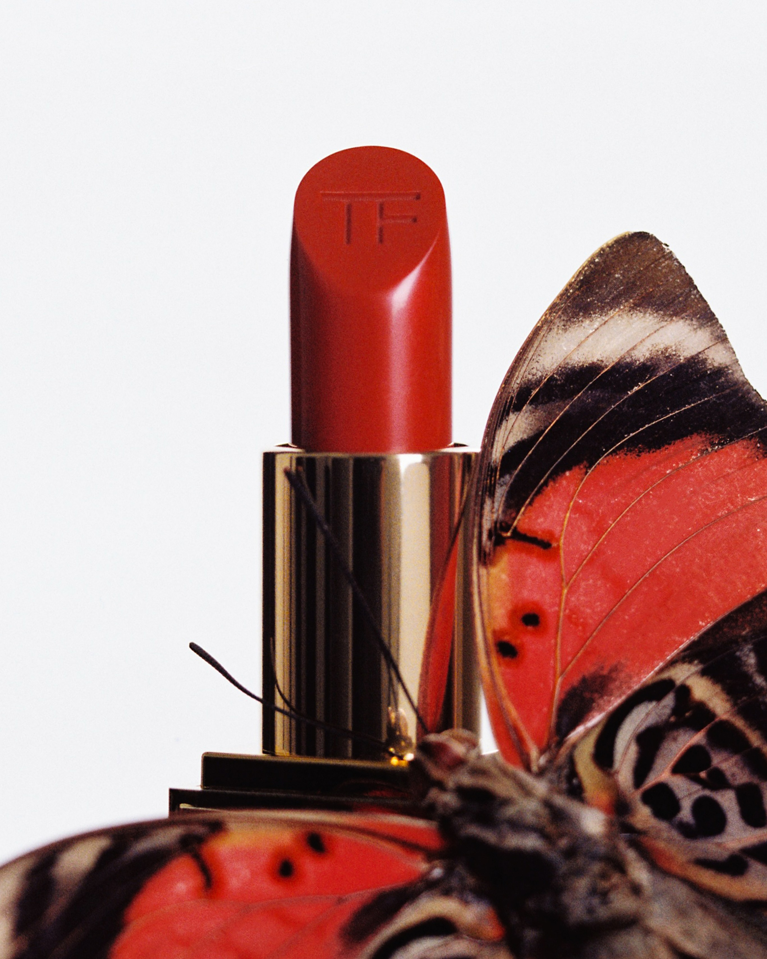 Campaign GOLDEN APPLE. Nadezhda Diskant is a Moscow and Saint Petersburg based photographer