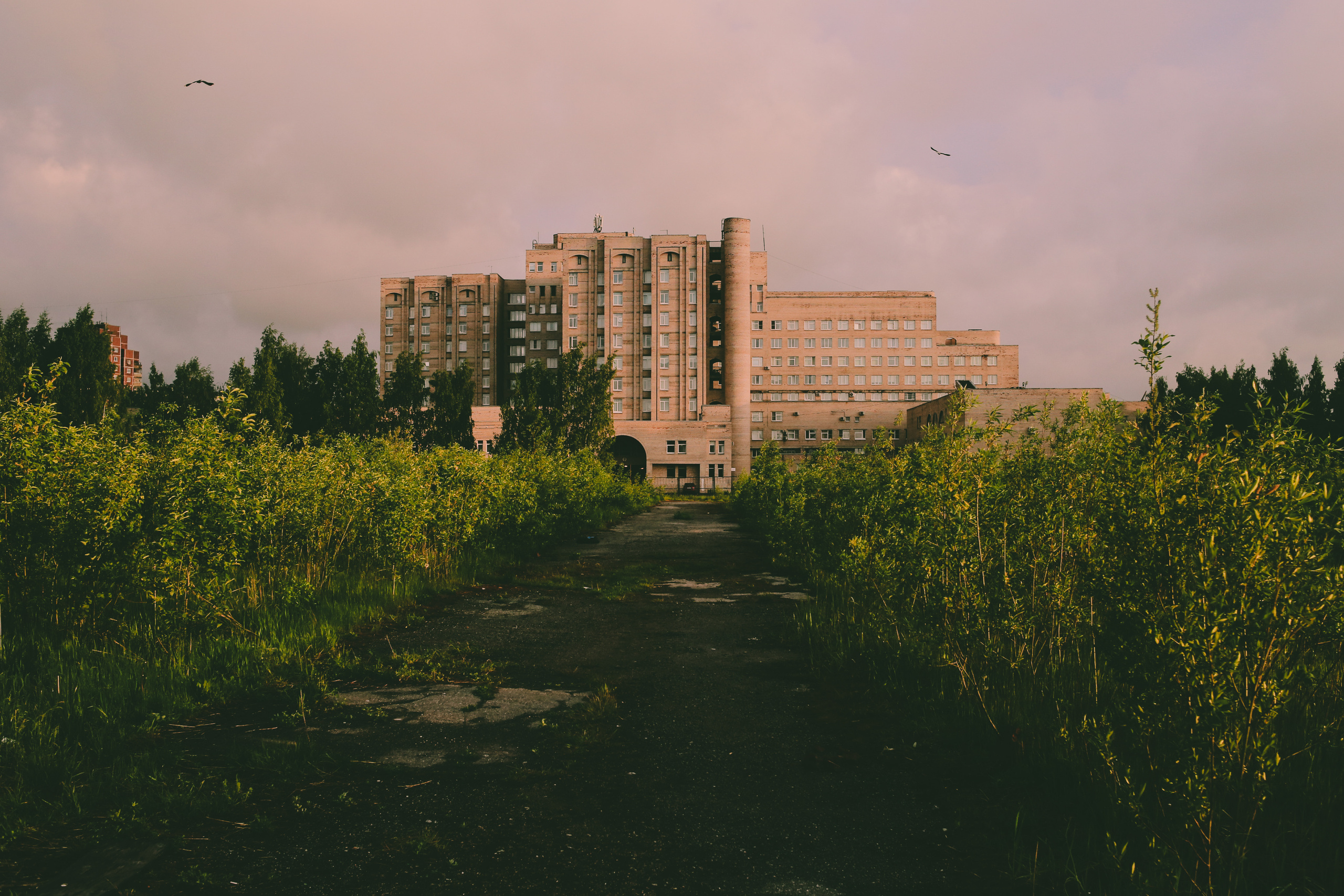 Мой район. Фотограф Всеволод Емелин