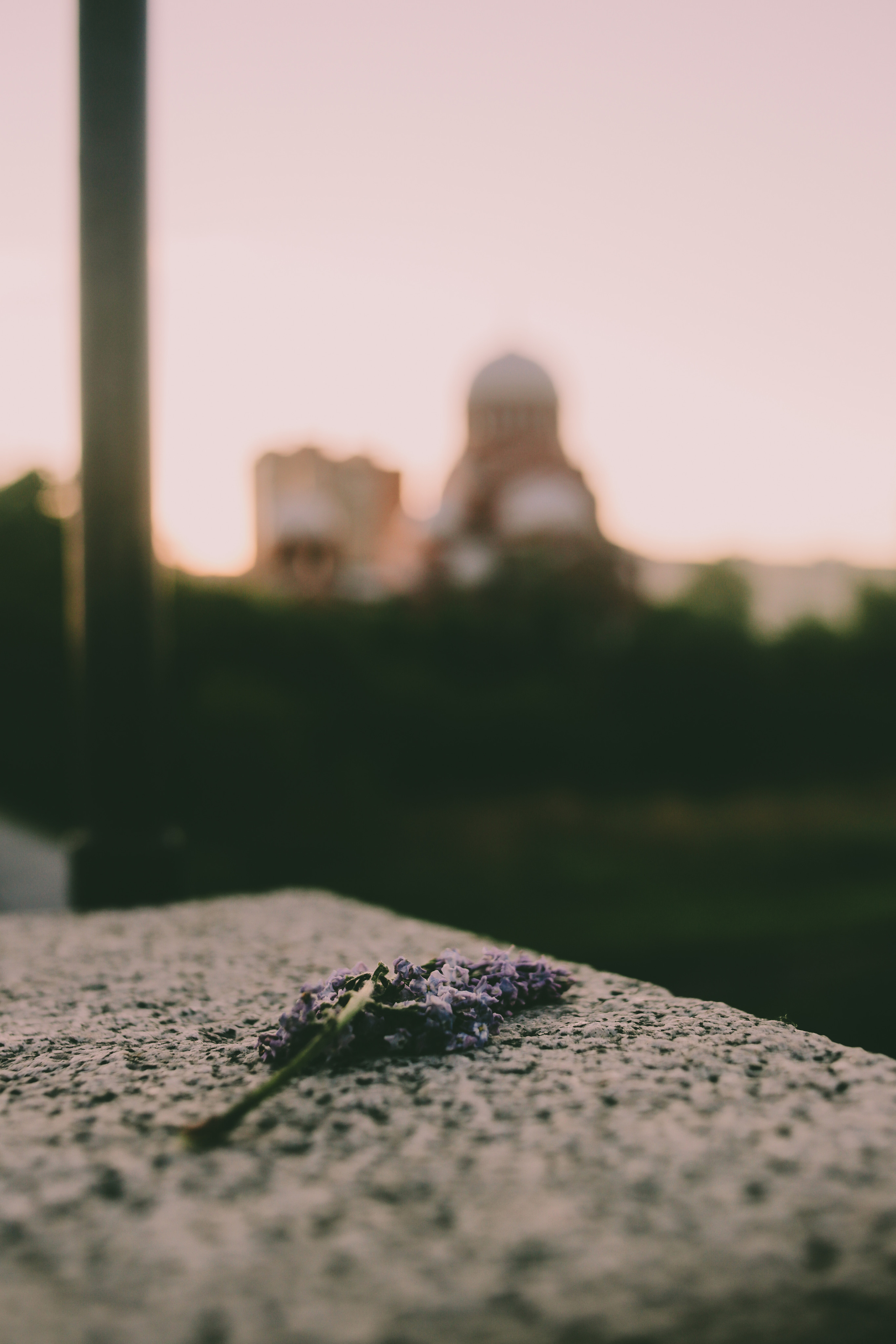 Мой район. Фотограф Всеволод Емелин