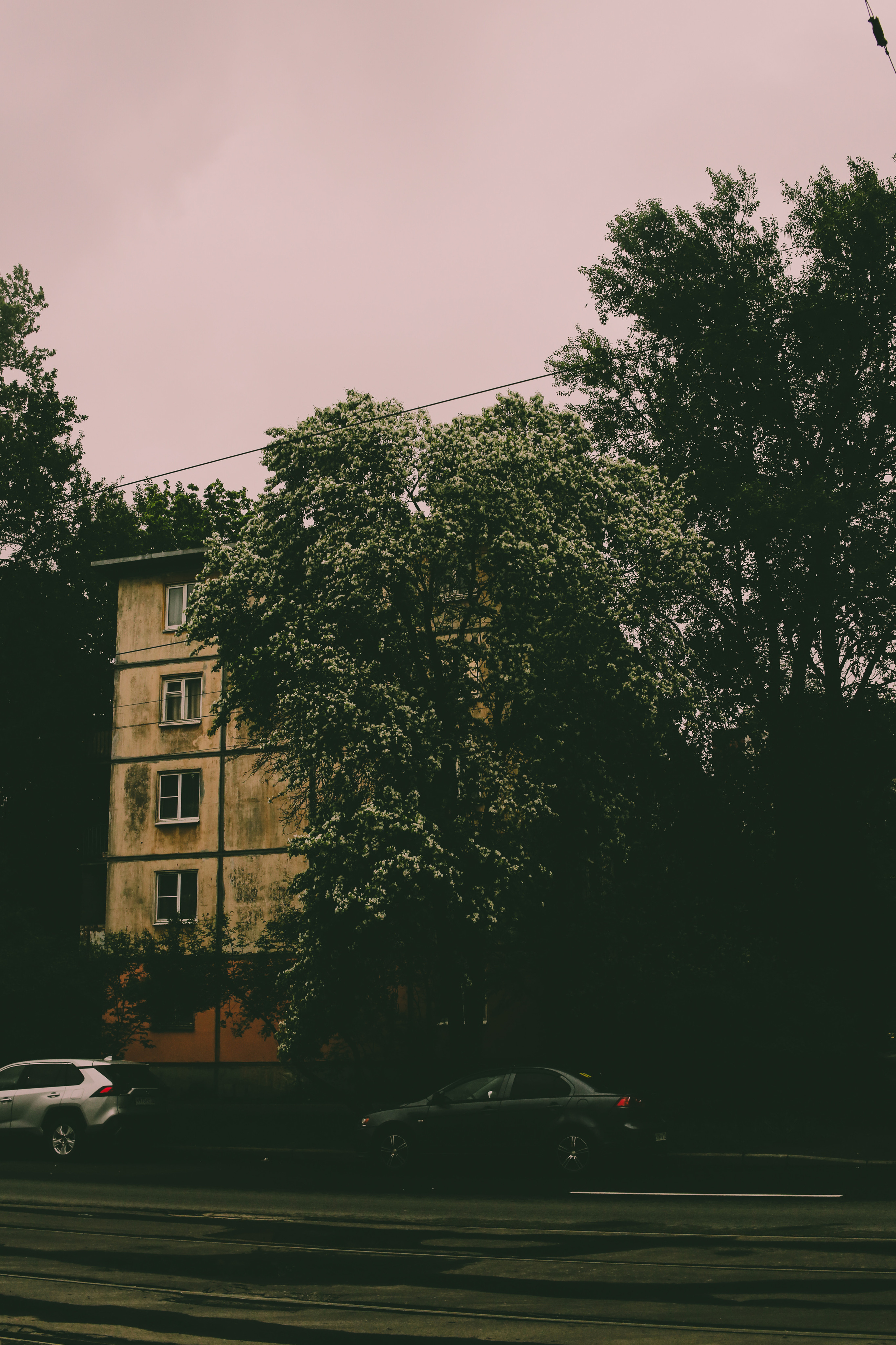 Мой район. Фотограф Всеволод Емелин