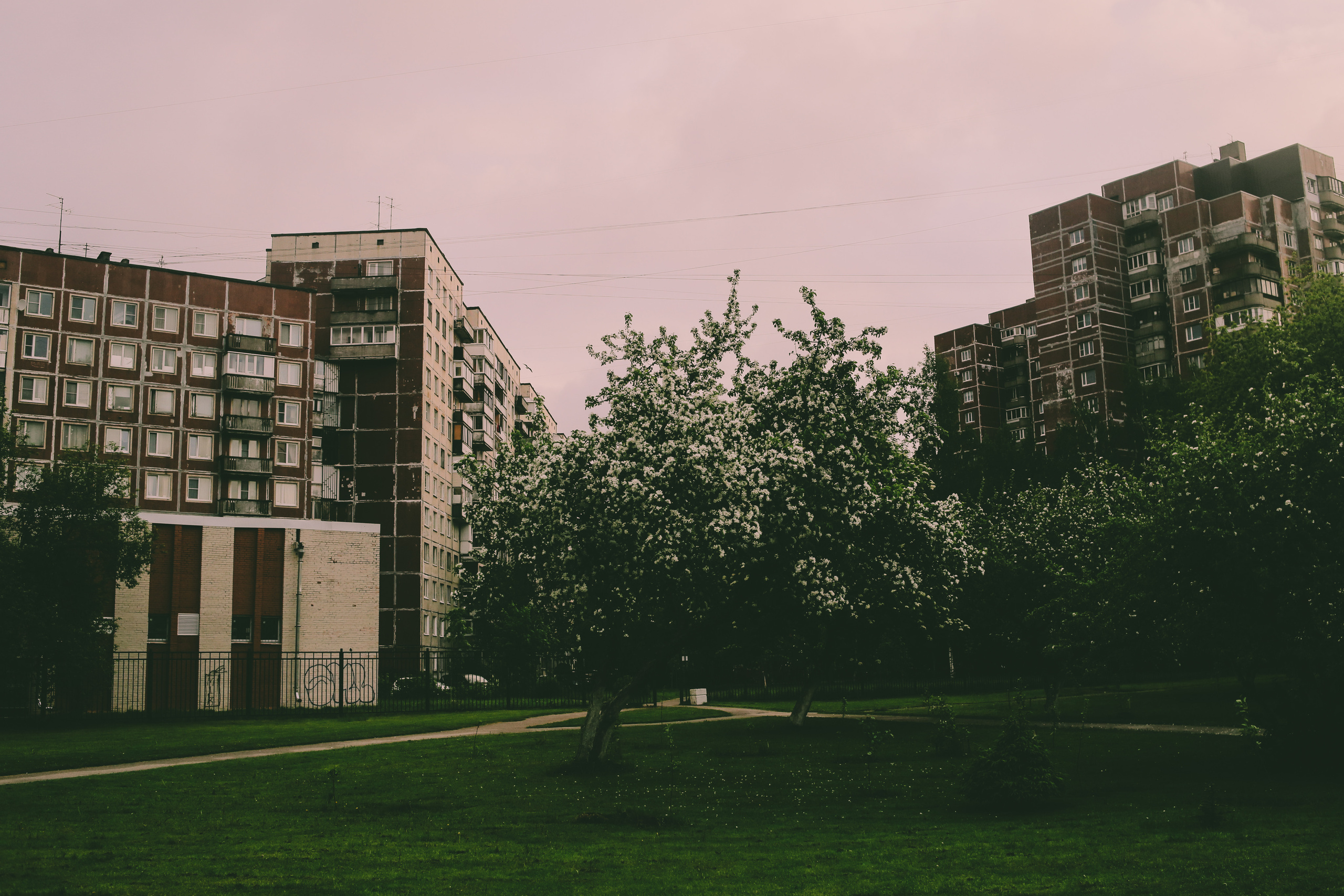 Мой район. Фотограф Всеволод Емелин