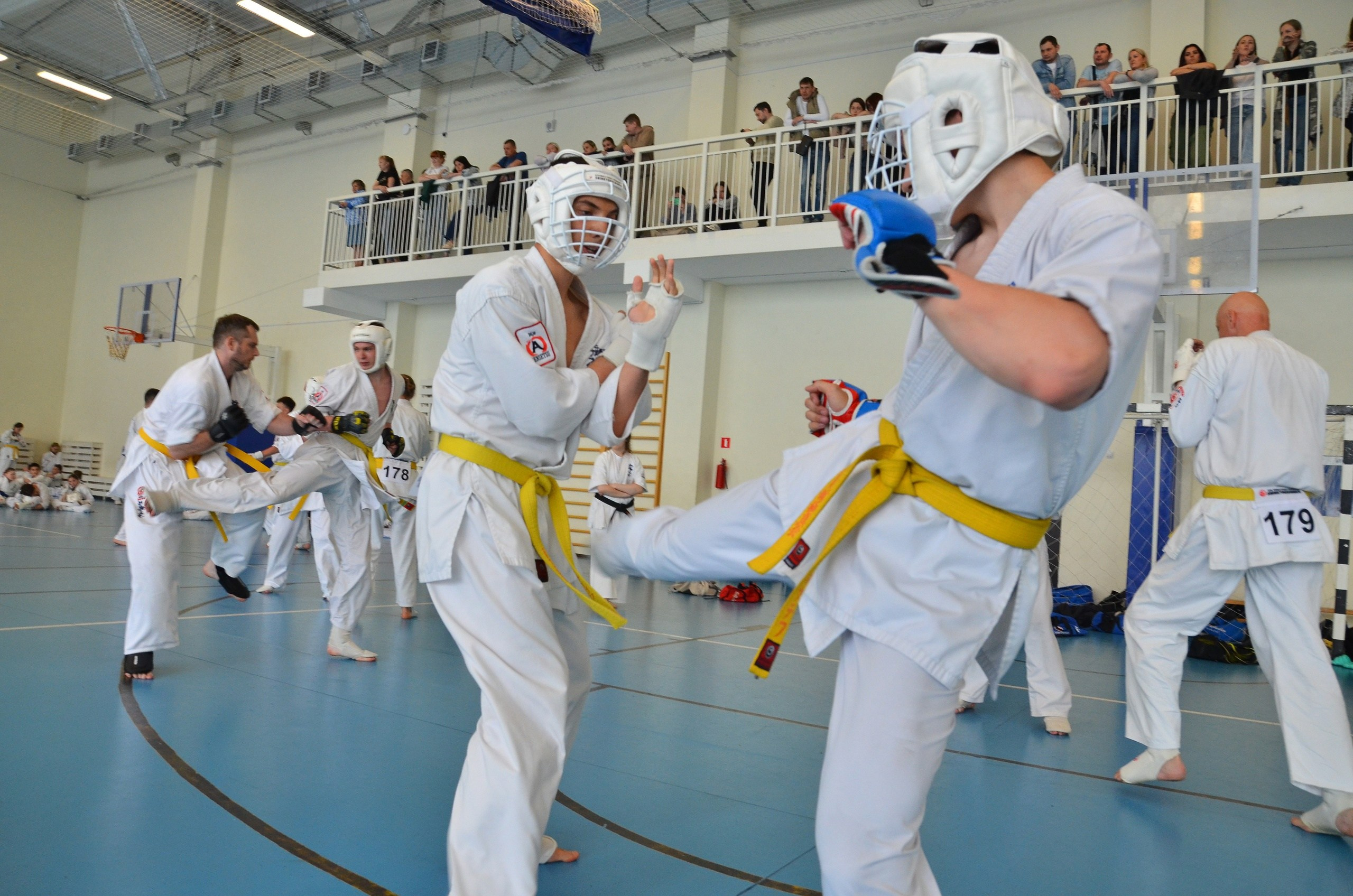 Соревнование по карате. Фотограф анималист, пейзажист, спортивные мероприятия. Новосибирск