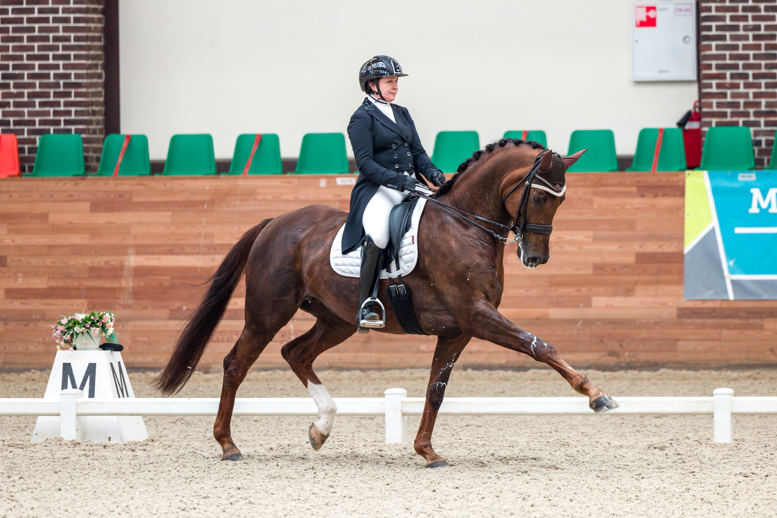 Выездка. Mrs.Aquarelia Конный фотограф Марианна Леонтьева