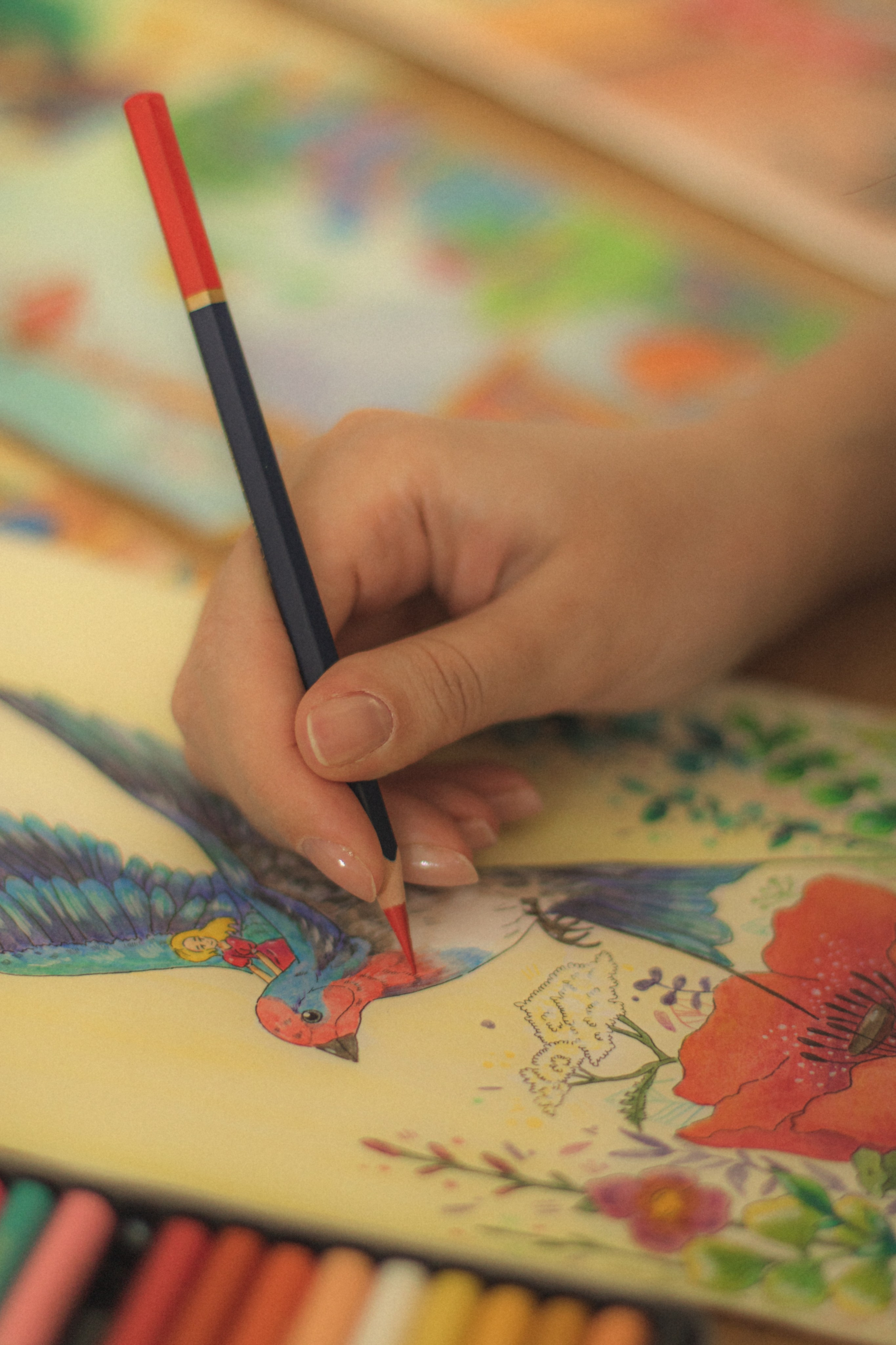 Услуги. Фотограф в Хабаровске