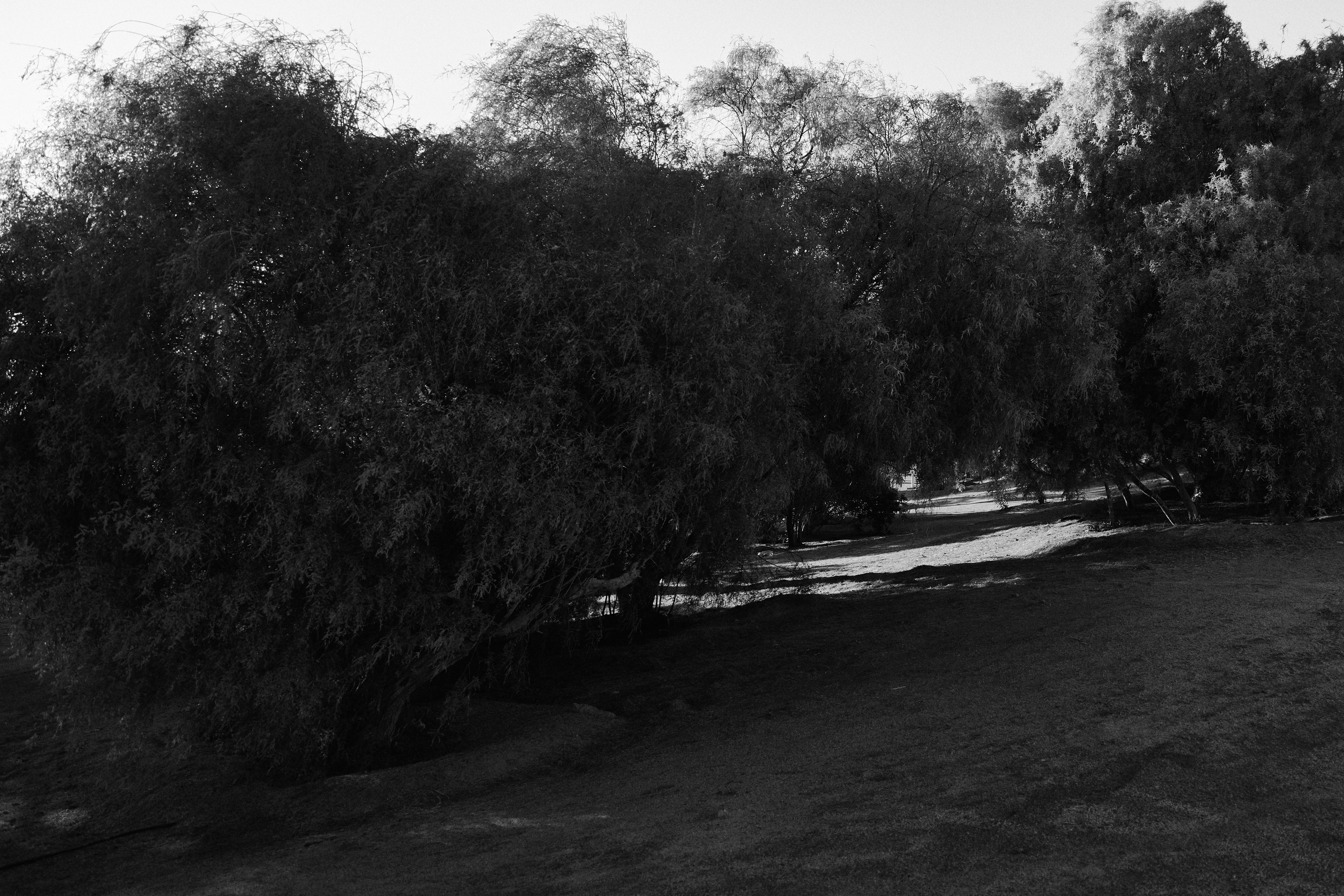 Другое 3. Jorgis — фотограф в Хургаде / обучение фотографии