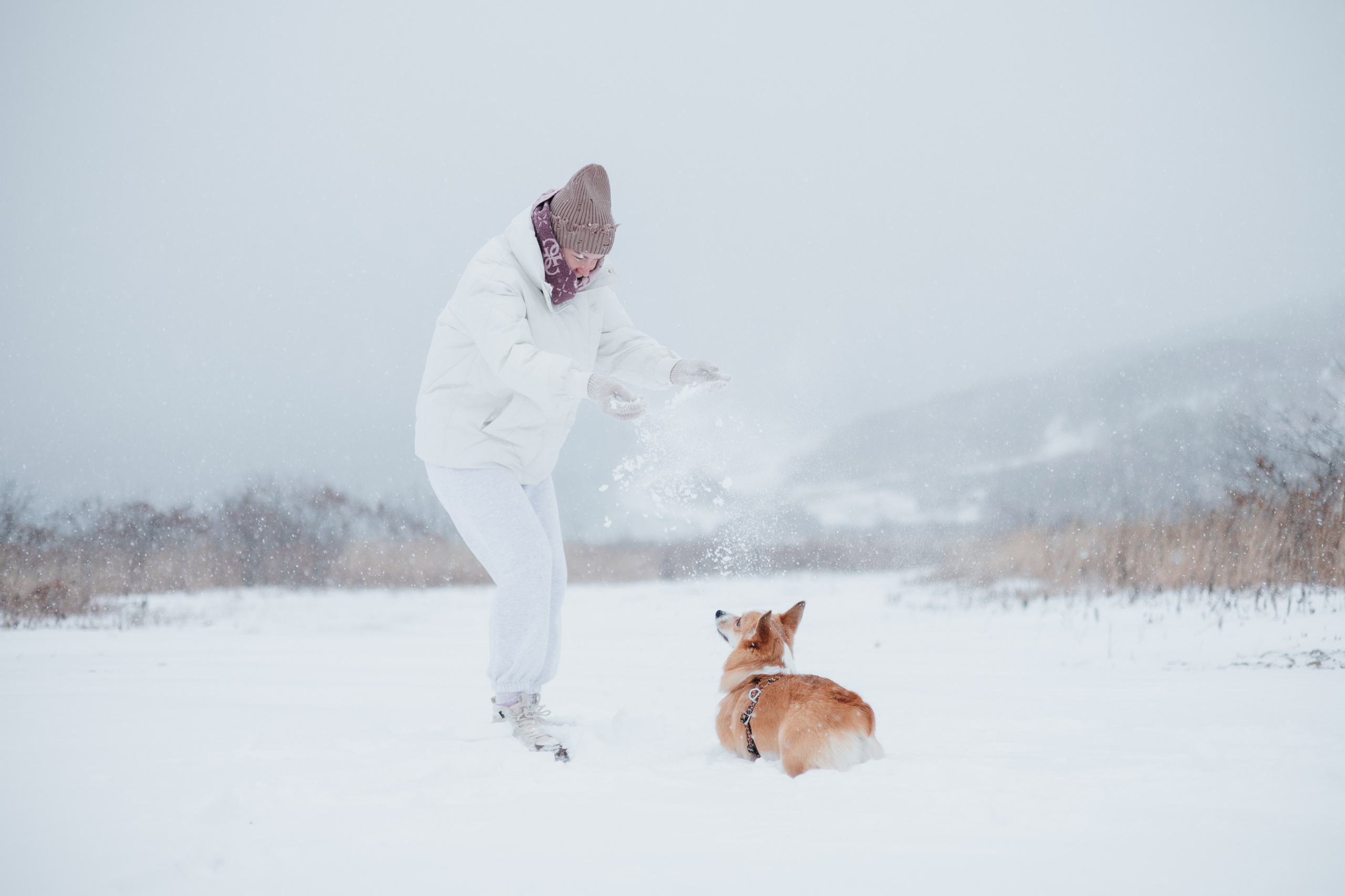 Лена, Лиза и Мия. Фотограф — анималист Владивосток, Алина