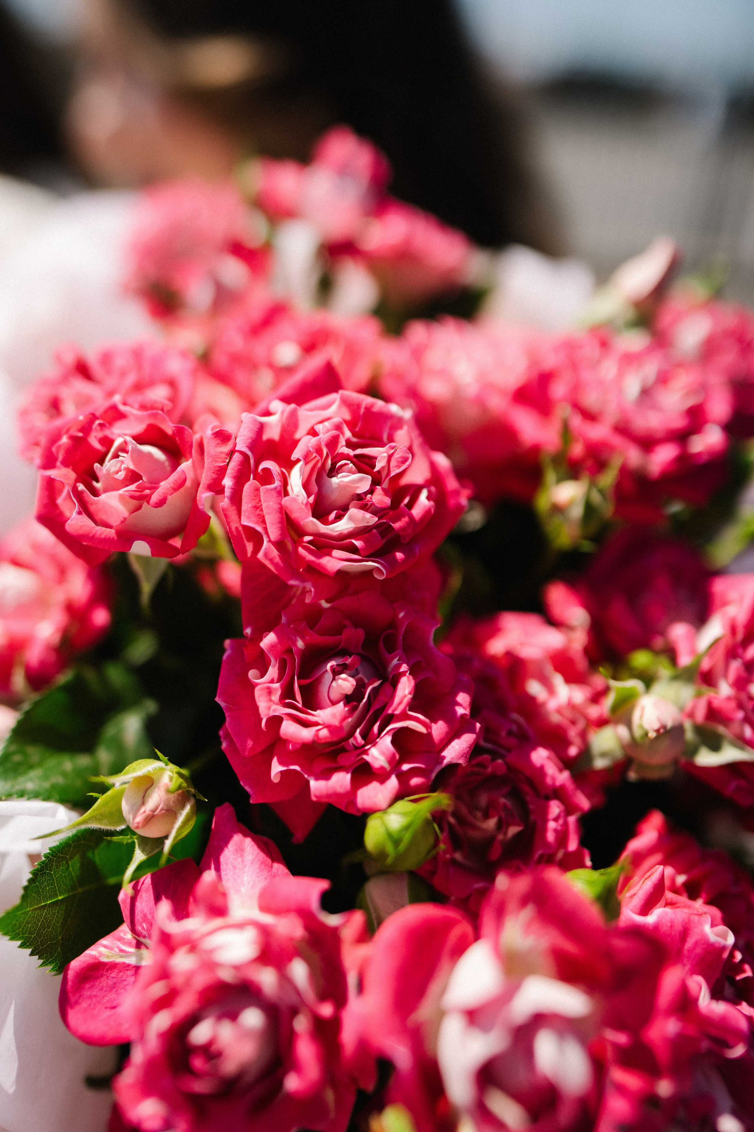 Марина и Денис (полный день). Фотограф на любое событие в Кемерово