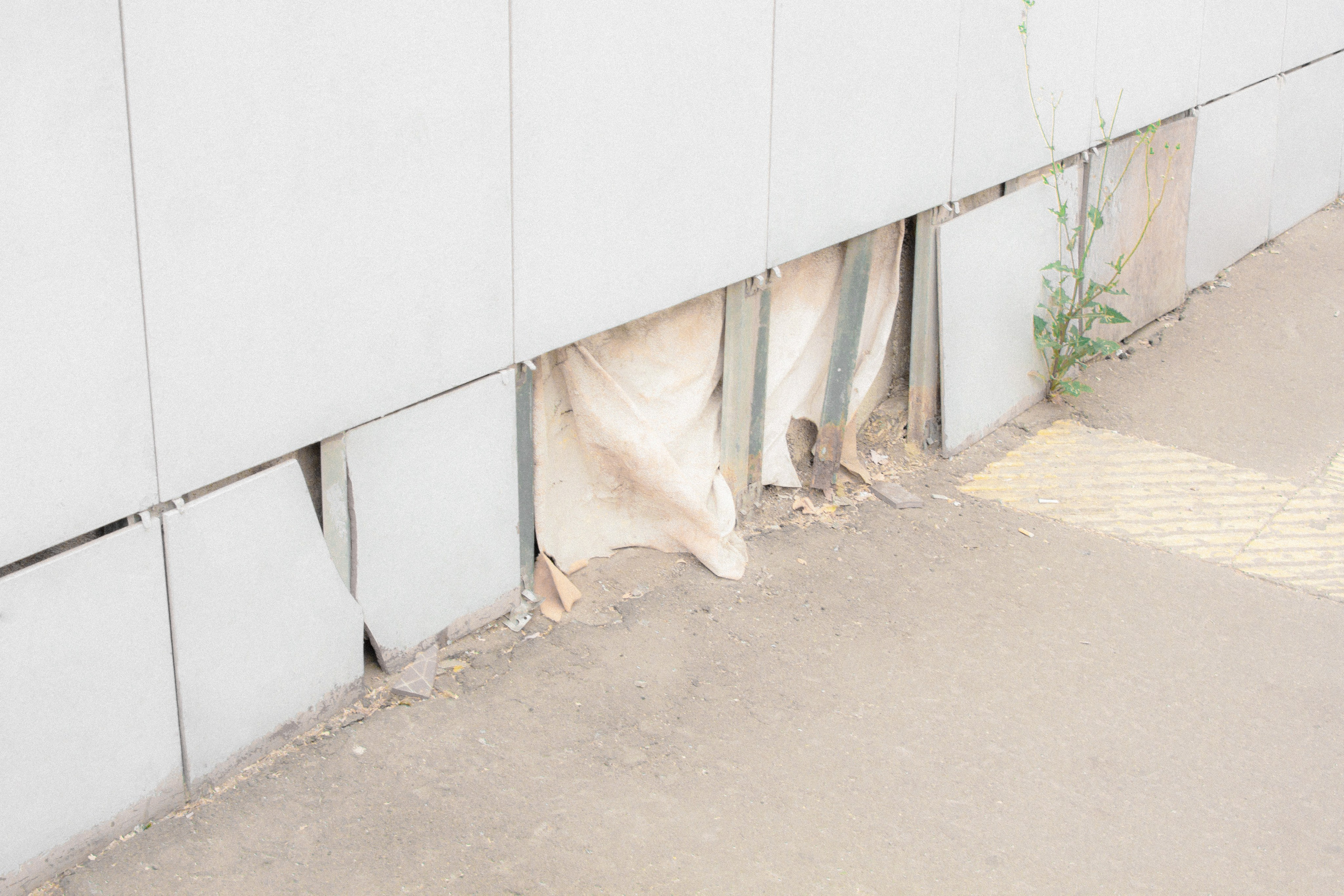 Personal projects. Фотограф Полина Треногина