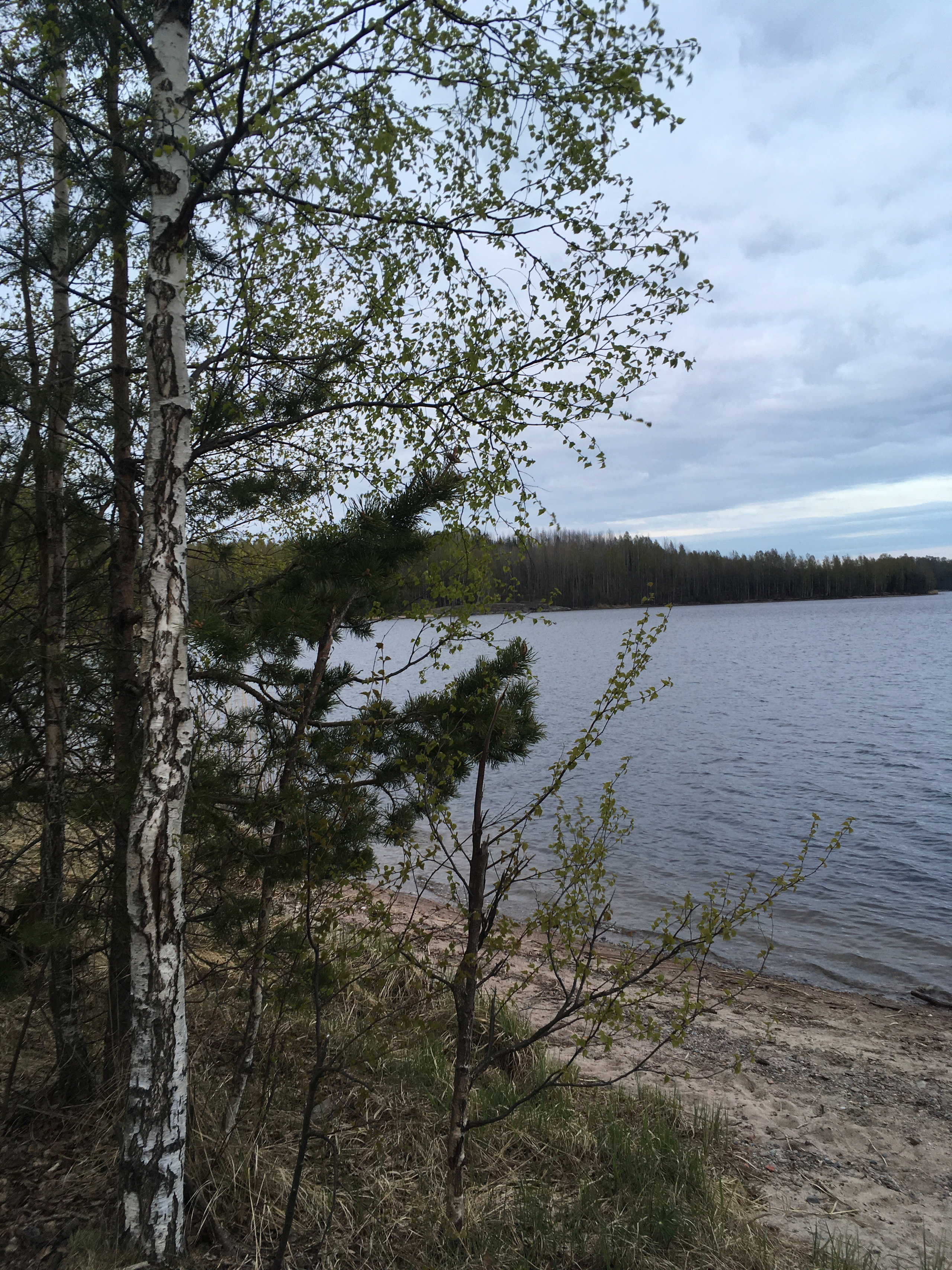 Финляндия — 19. Своя Мастерская