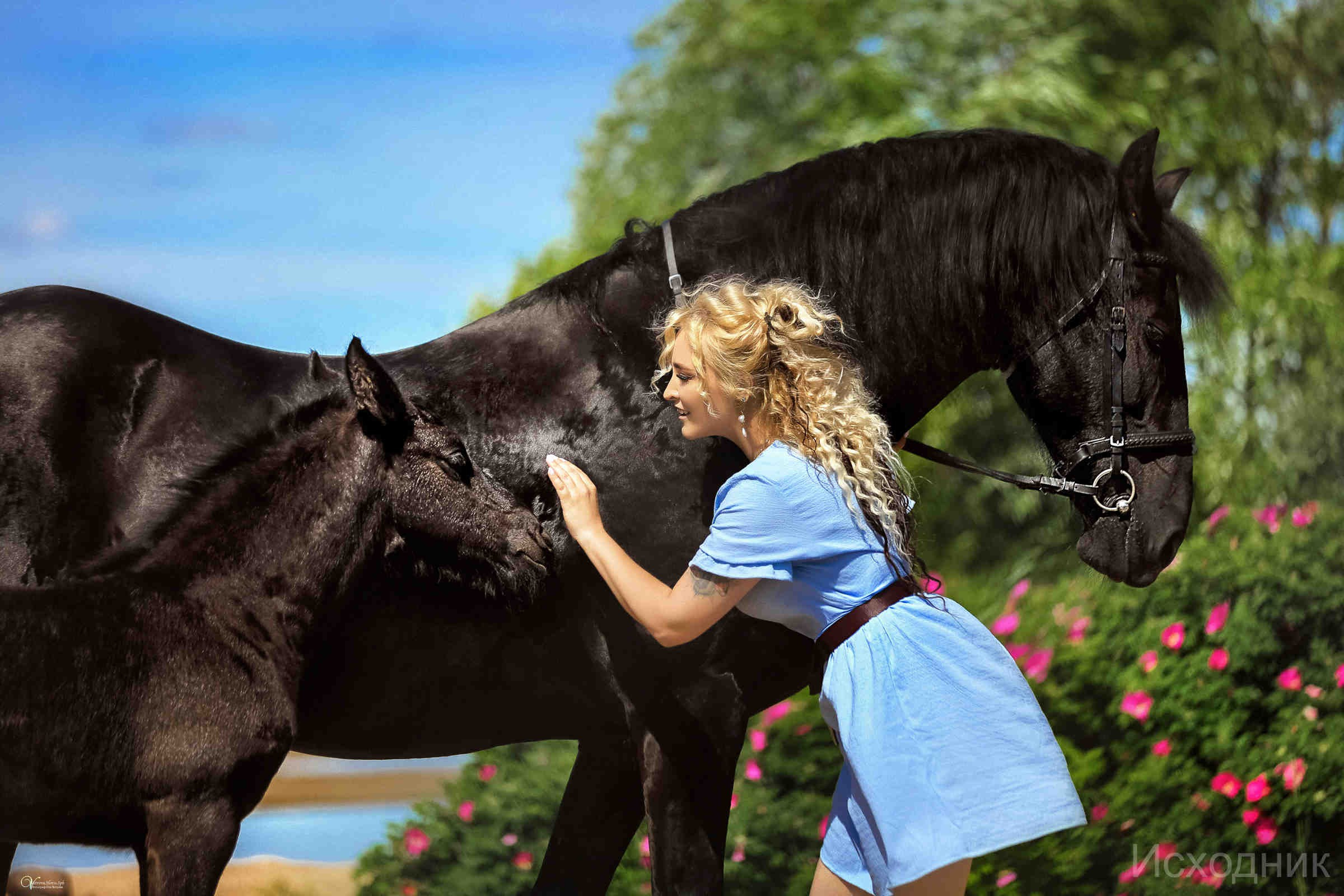 Фотосессии с лошадьми летом. Фотограф женский и мужской портрет Санкт-Петербург