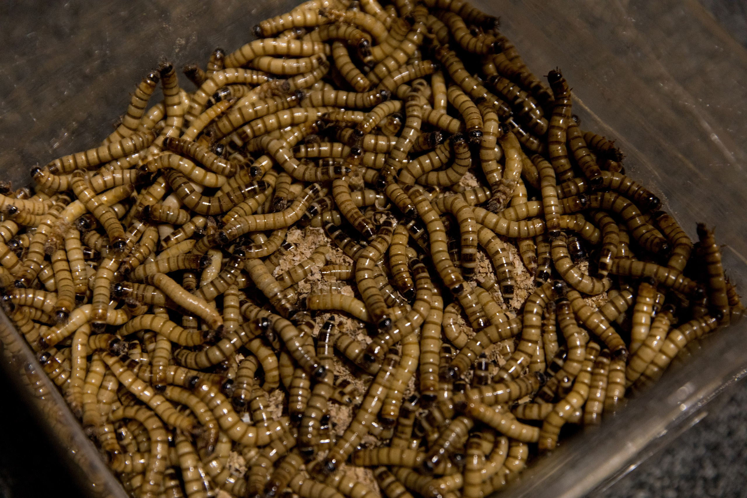 Юбилей Юлии. Свадебный и семейный фотограф Марина Злочевская