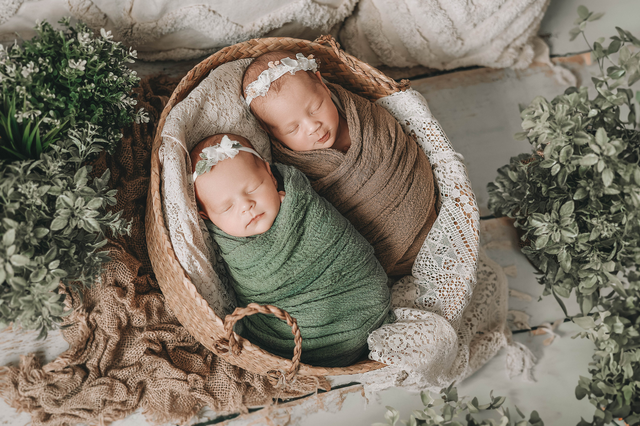 близнецы девочки новорожденные