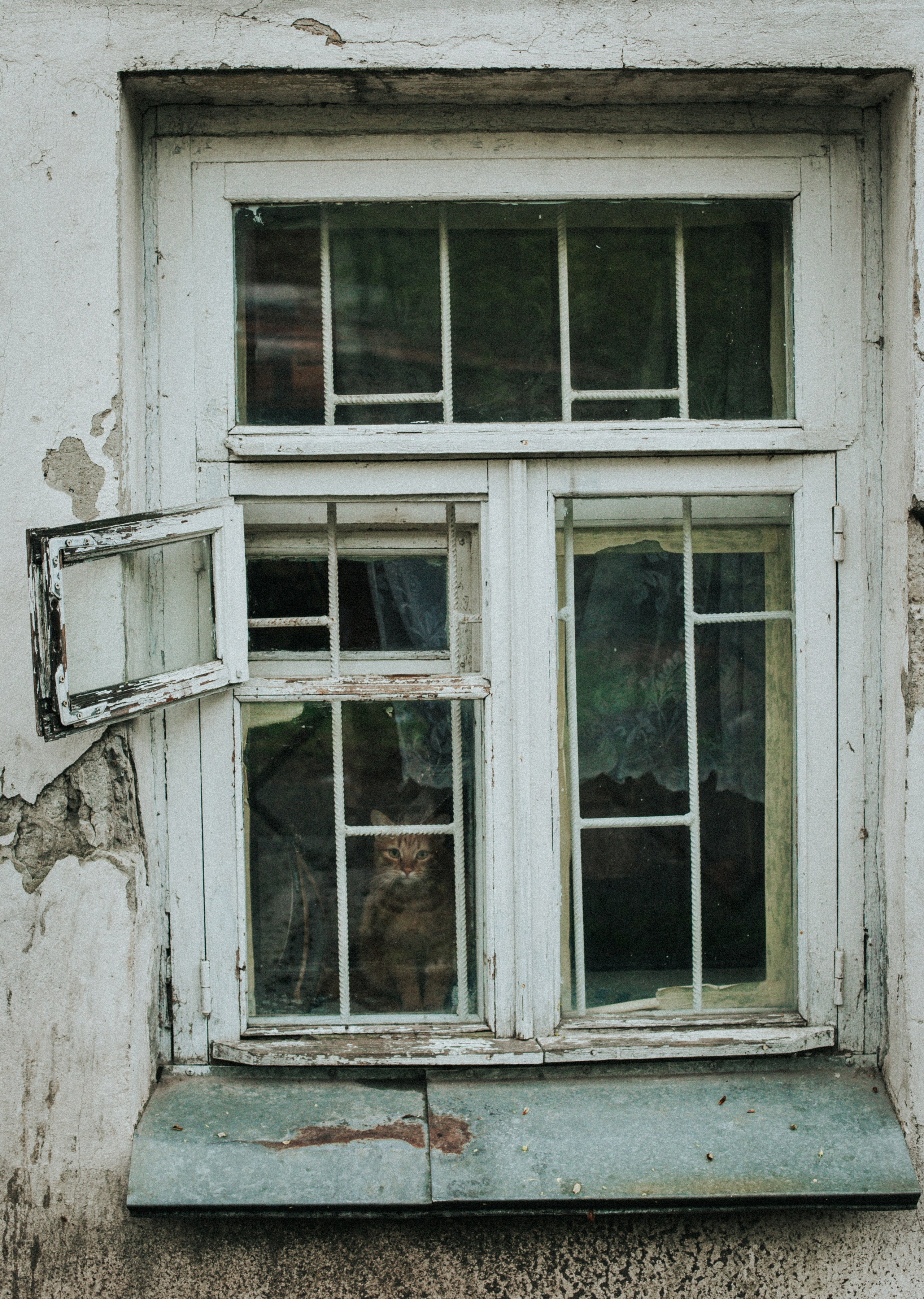 Г О Р О Д. Фотограф в Нижнем Новгороде