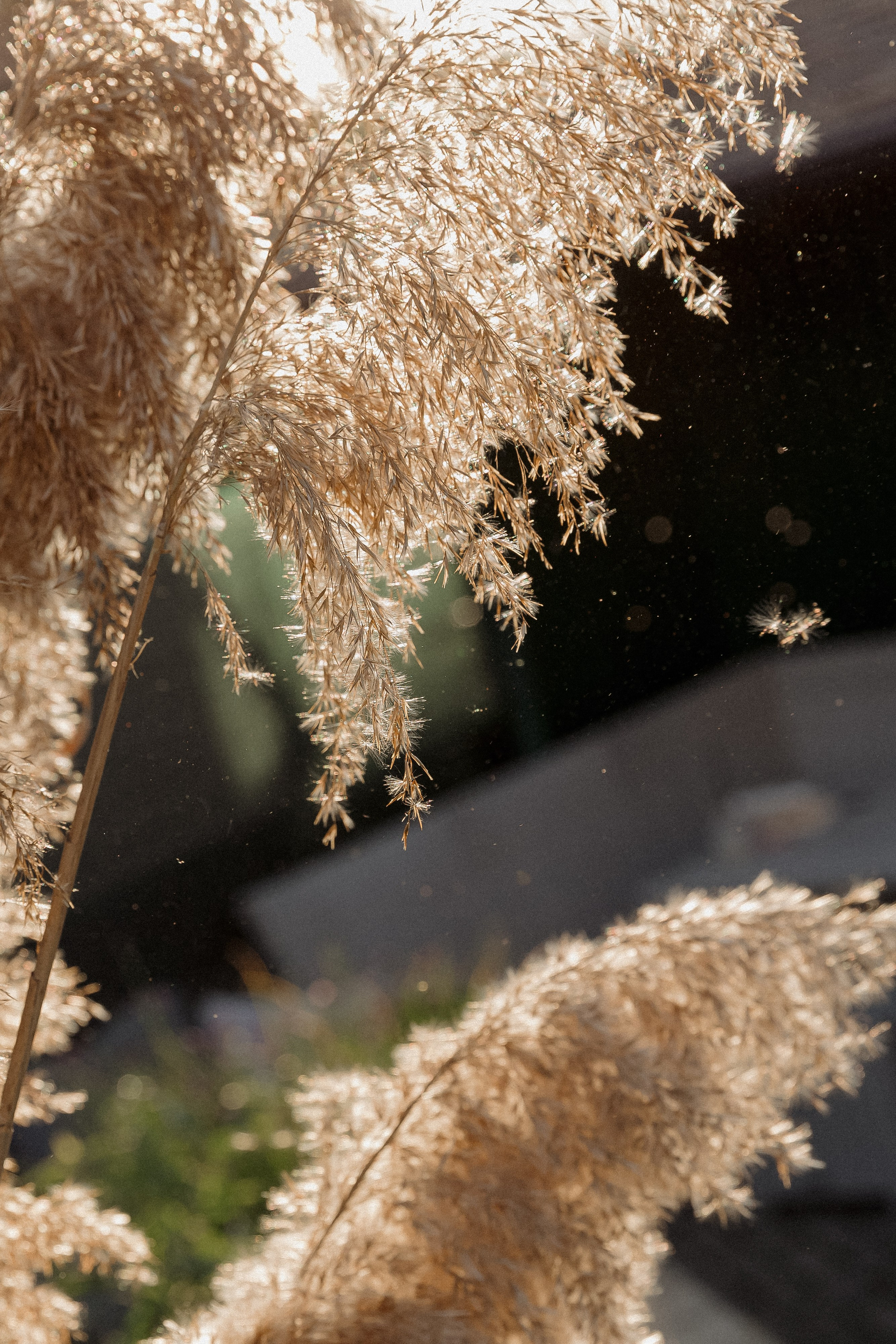 Wedding day Андрей и Анастасия. Свадебный фотограф Колесников Антон