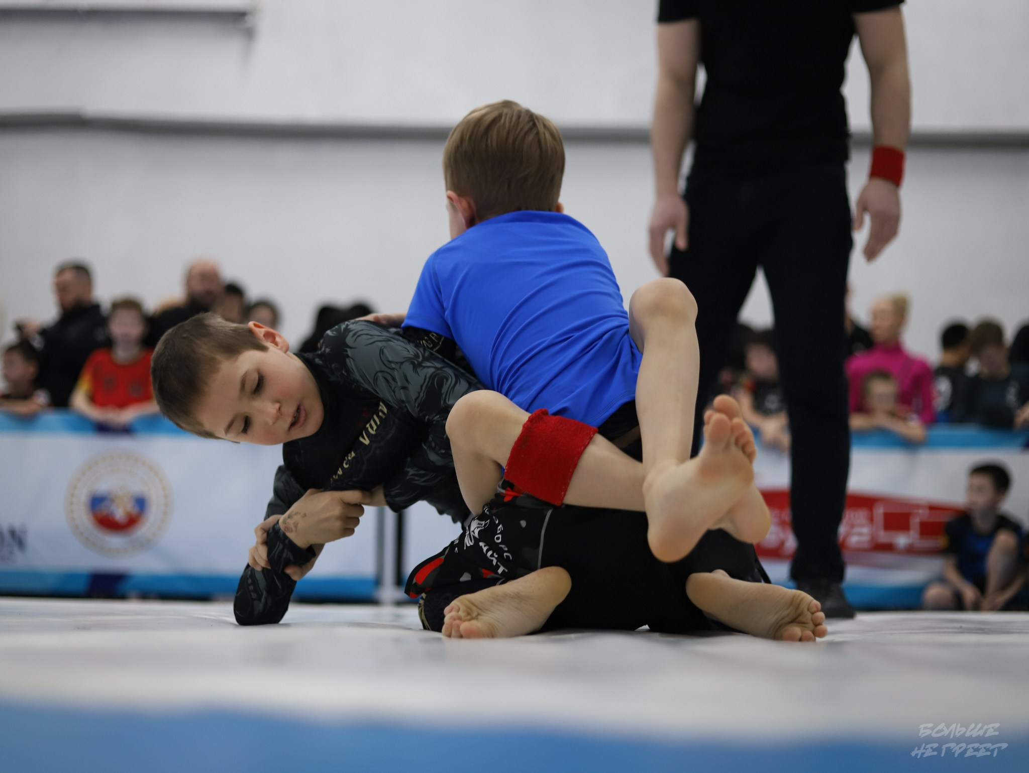 GORILLA PRIDE CUP. Больше не греет