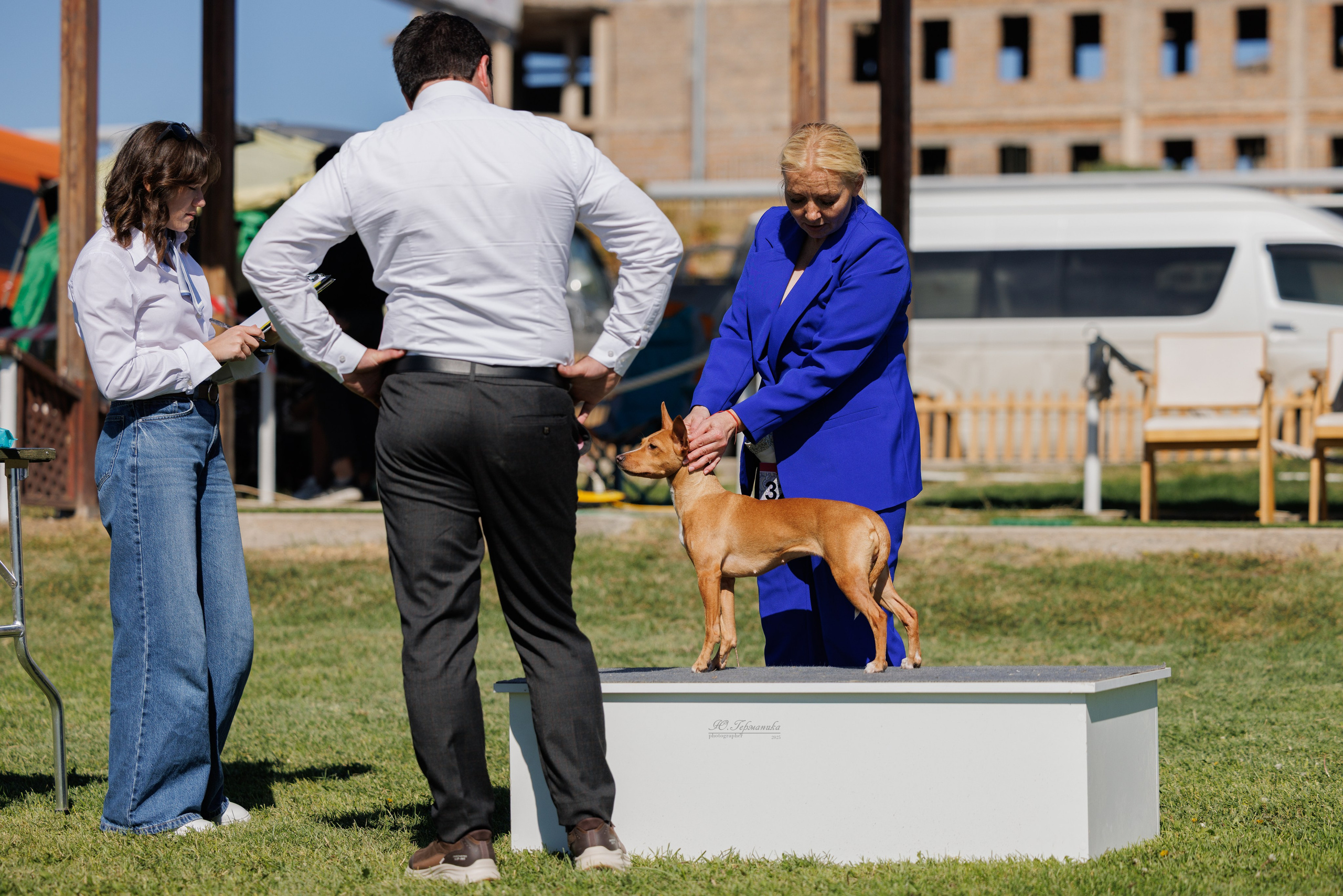 Ереван 14-16.10.2025. Фотограф-анималист Юлия Германика