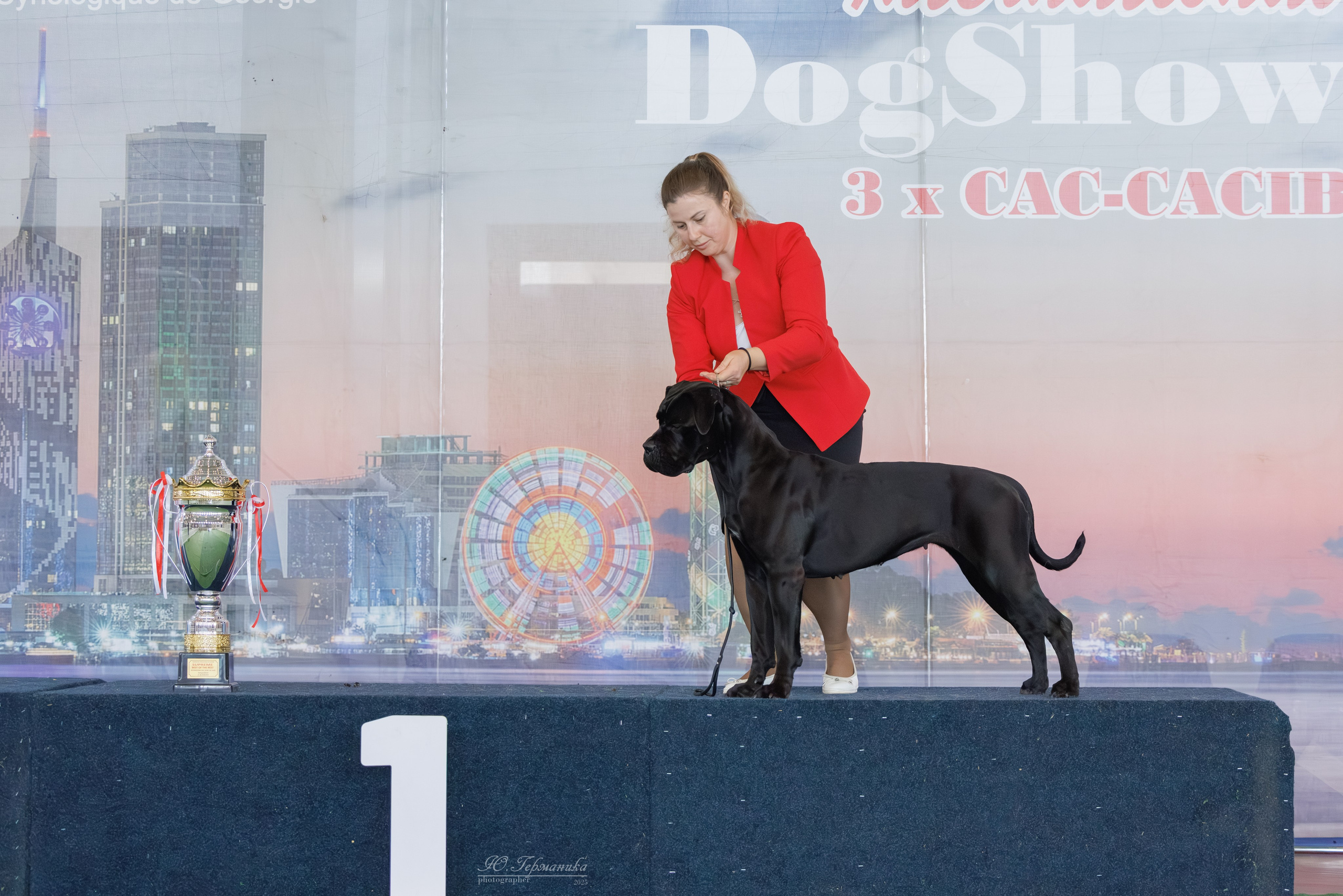 Батуми 3хCACIB 27-29.06.2025. Фотограф-анималист Юлия Германика