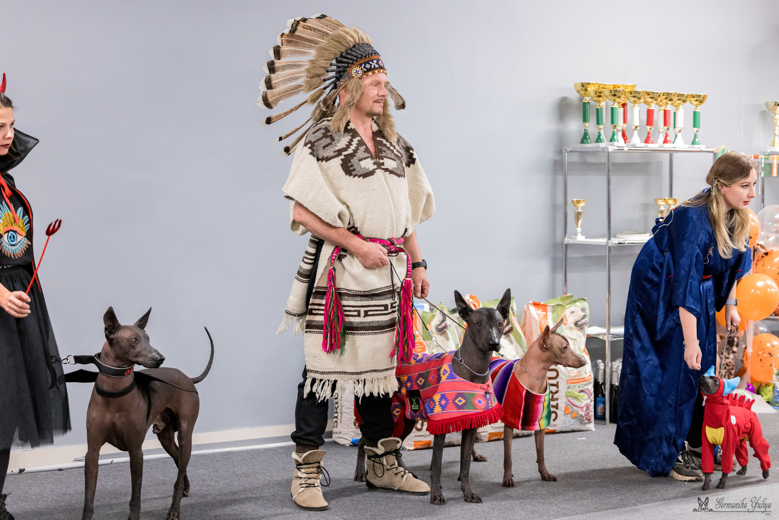 Сфера 29.10,Крокус 4.11,Сфера 12.11.2023. Фотограф-анималист Юлия Германика