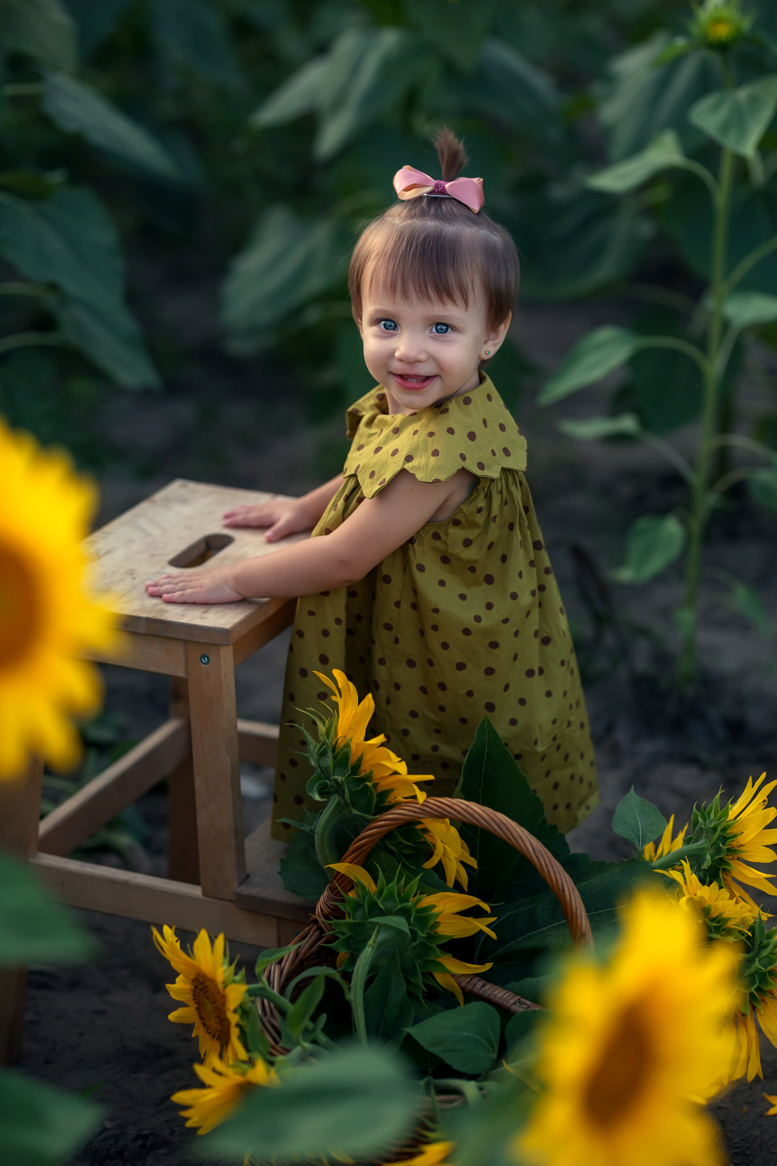 Подсолнухи. Семейный и детский фотограф Екатерина Савёлова