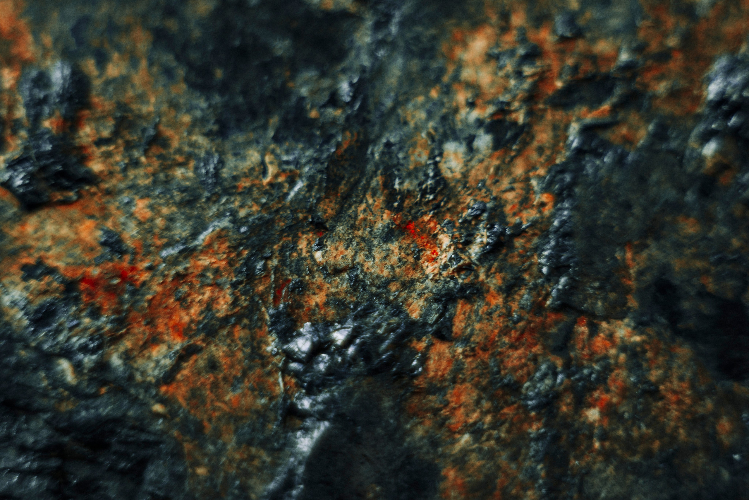 MACRO. Фотограф. Пейзажи, макро, портреты. Город Енакиево, без границ в съёмке