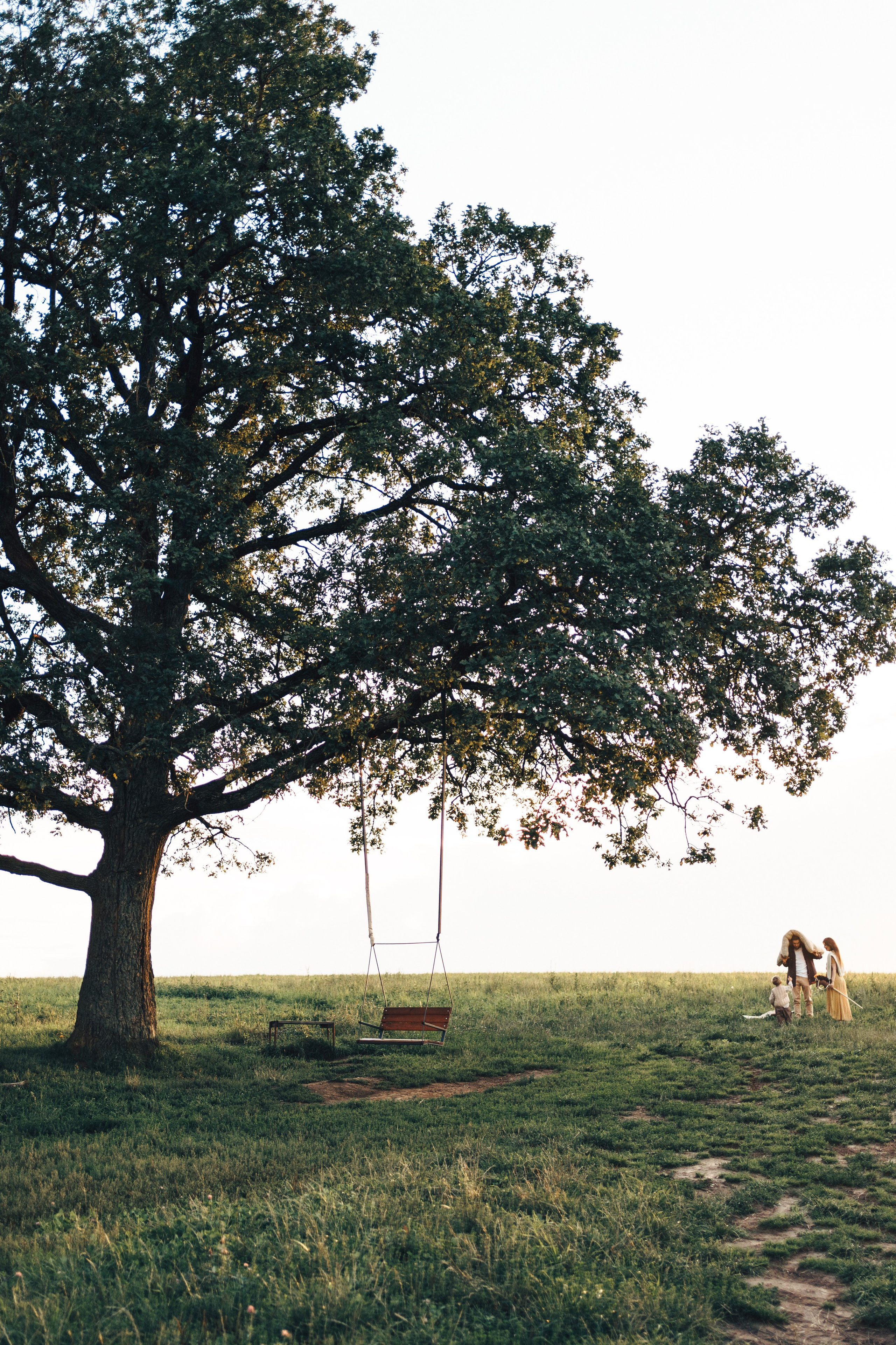 Дерево жизни. Семейный и детский фотограф и видеограф в Москве, Серпухове и Тарусе Валерия Сорокина