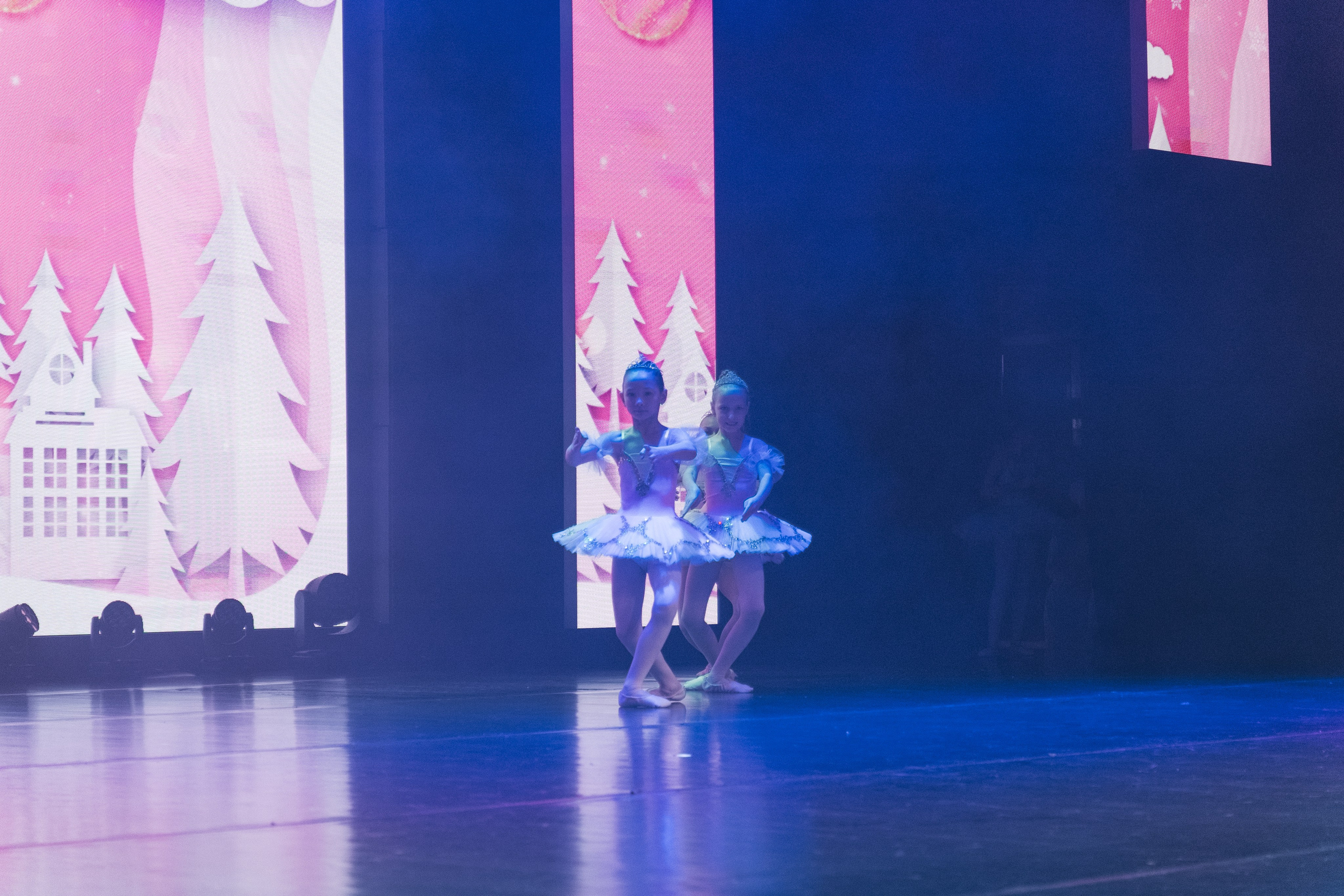 СурГУ 23.12.23. Репортажный и свадебный фотограф в Сургуте