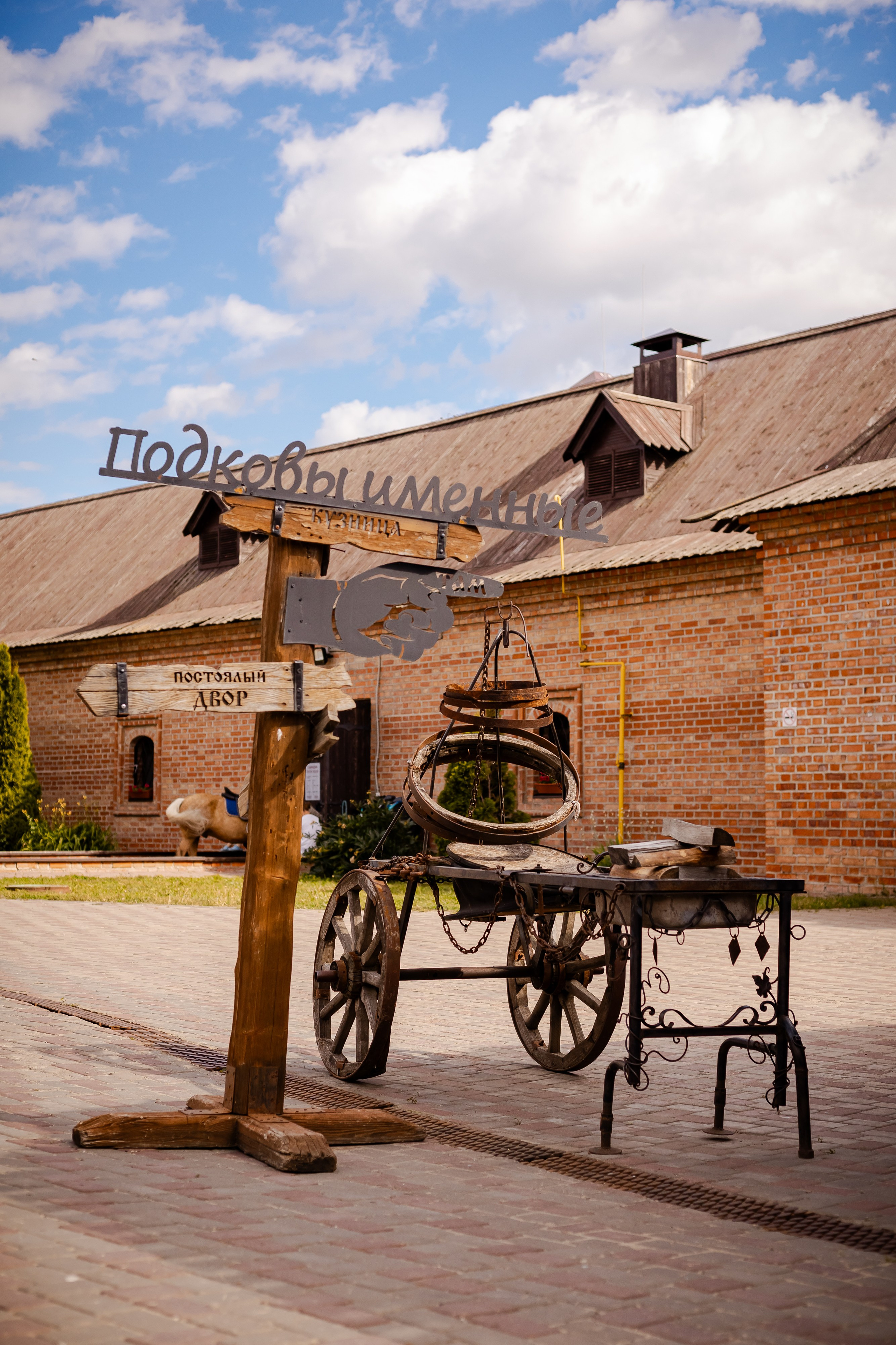 Фотосъемка собак, щенков, на выставках, фотограф анималист Россия воронеж. Питомник собак Акита, Хаски, Корги