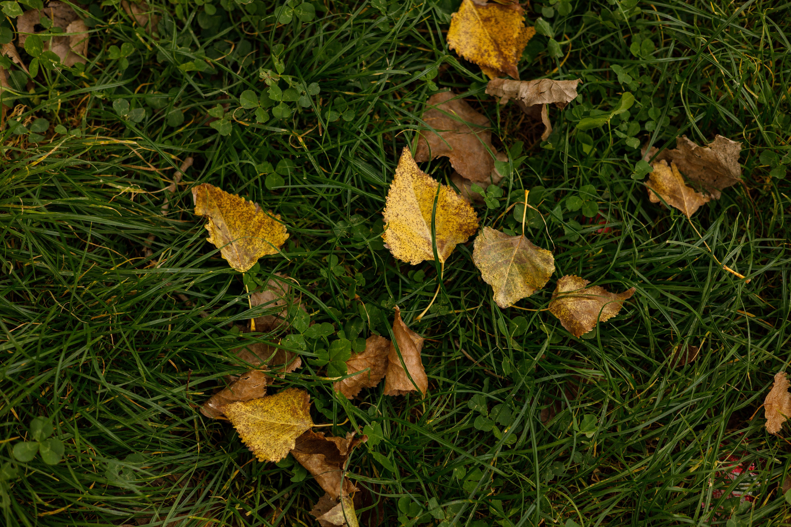 Осень на Юге