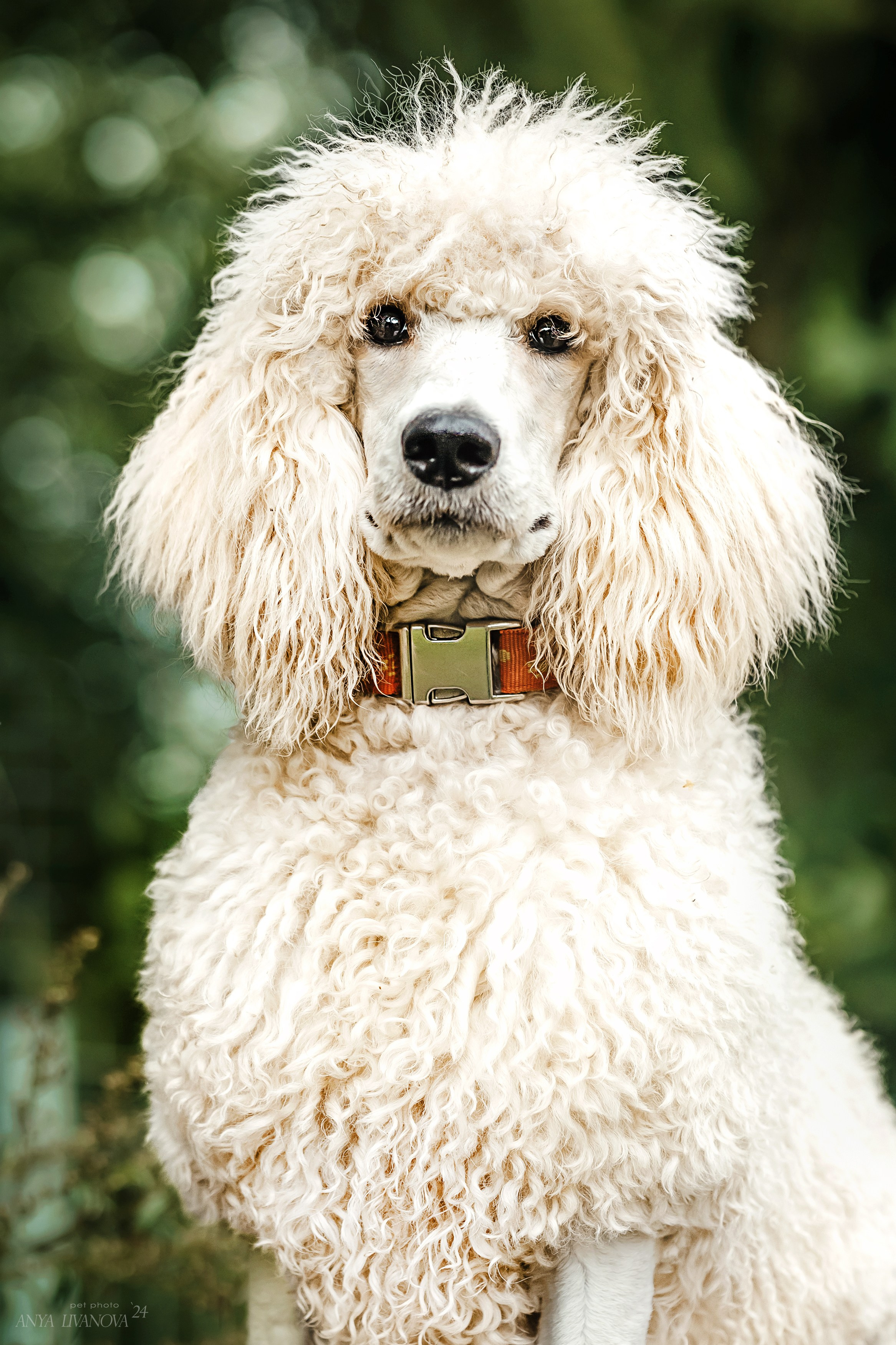 Ралли «Акела». Фотограф анималист Аня Ливанова | Рыбинск