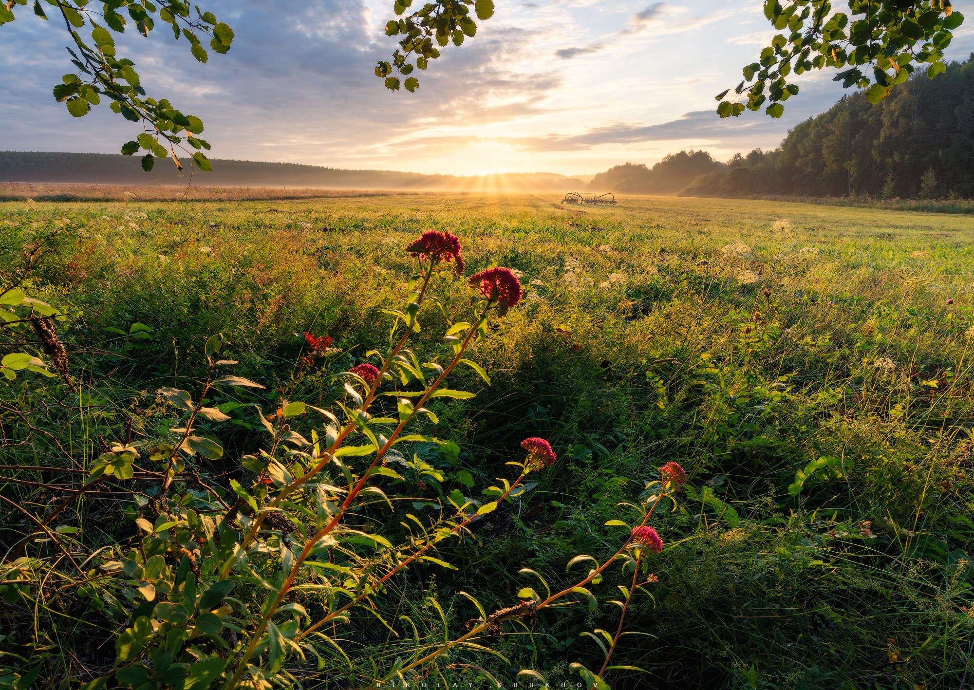 Красивый спокойный сельский пейзаж: рассвет, полевые цветы и деревенское поле с техникой для сенокоса, вдалеке виднеется солнце и слабый туман.