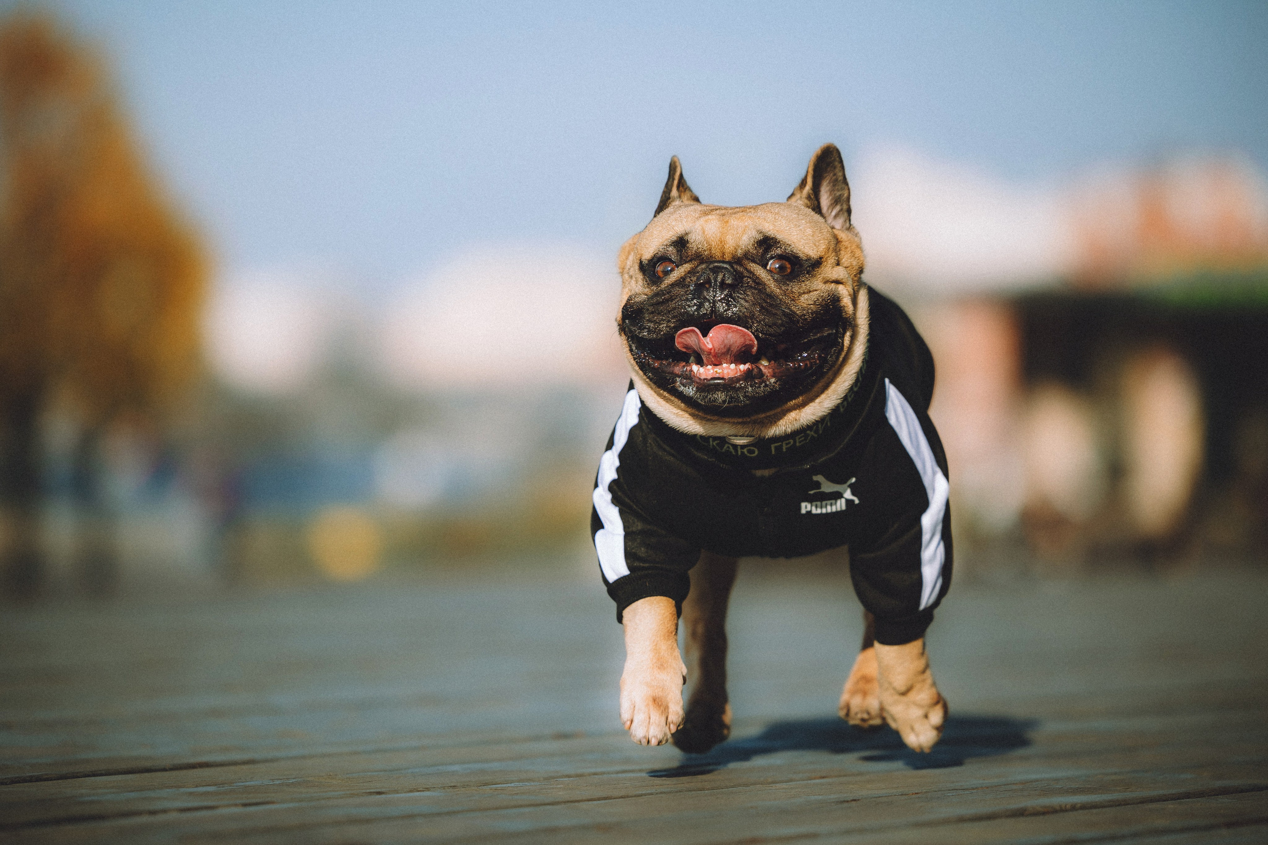 Настя, Женя и Хонор