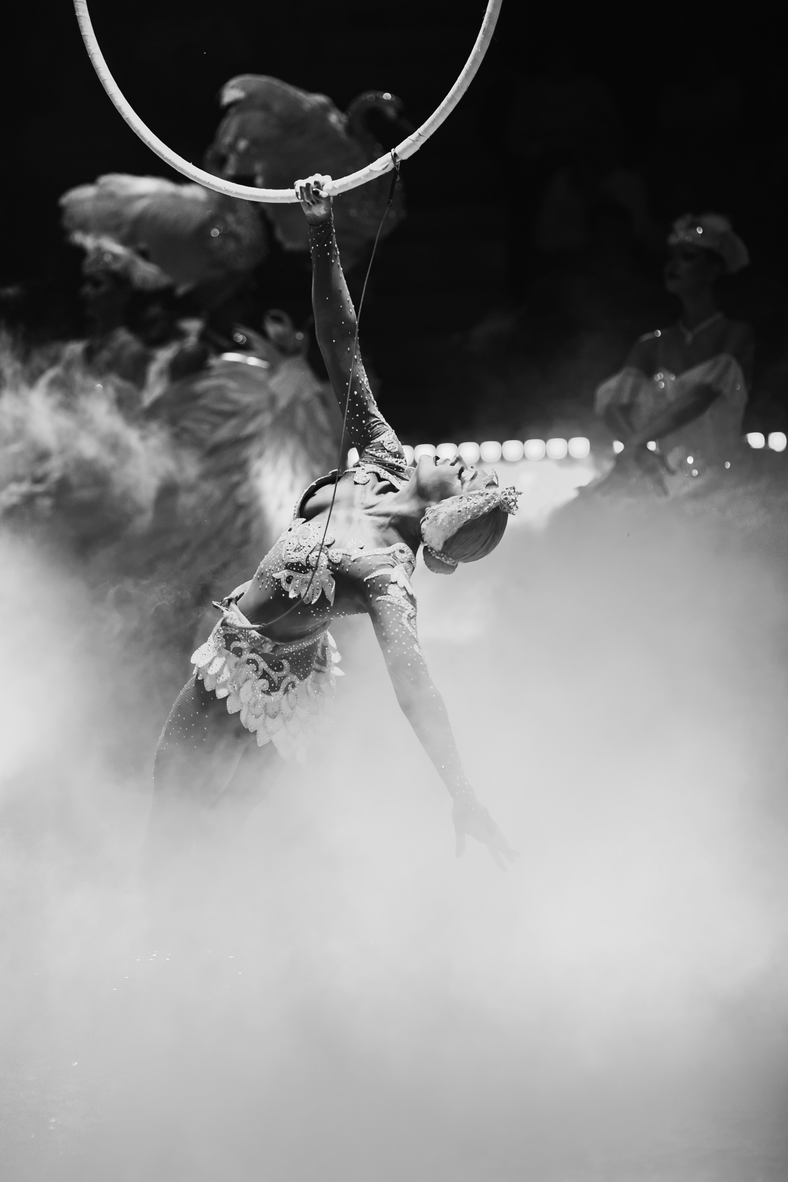 «Королевский цирк Гии Эрадзе» премьера и конференция «Королевский цирк Гии Эрадзе» премьера и конференция. Свадебный репортажный семейный фотограф