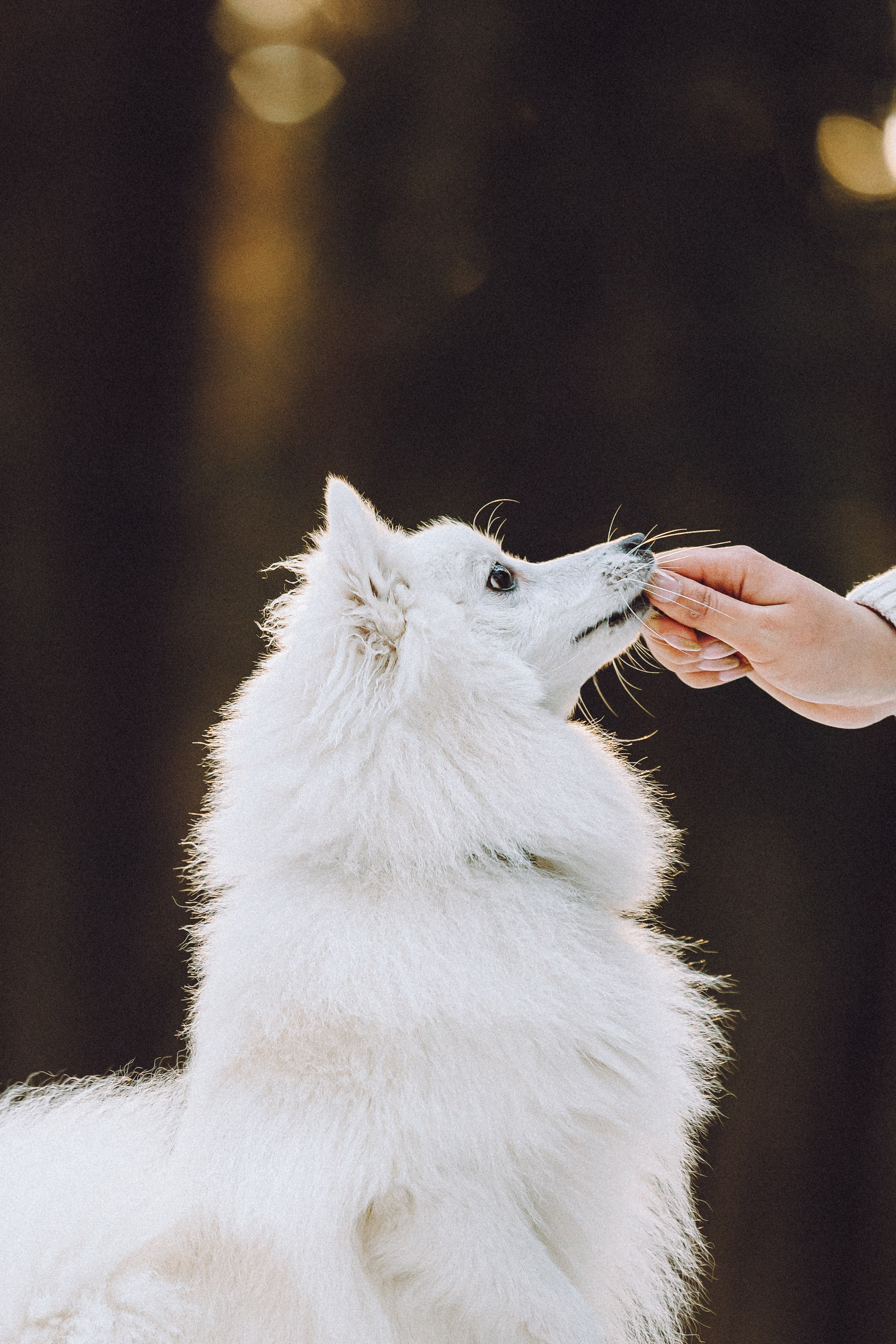 Шани и ее семья