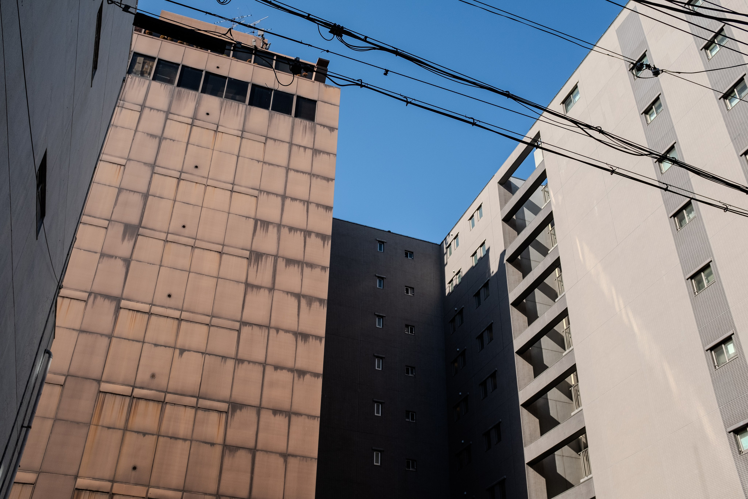 Architecture. Regina Platonova