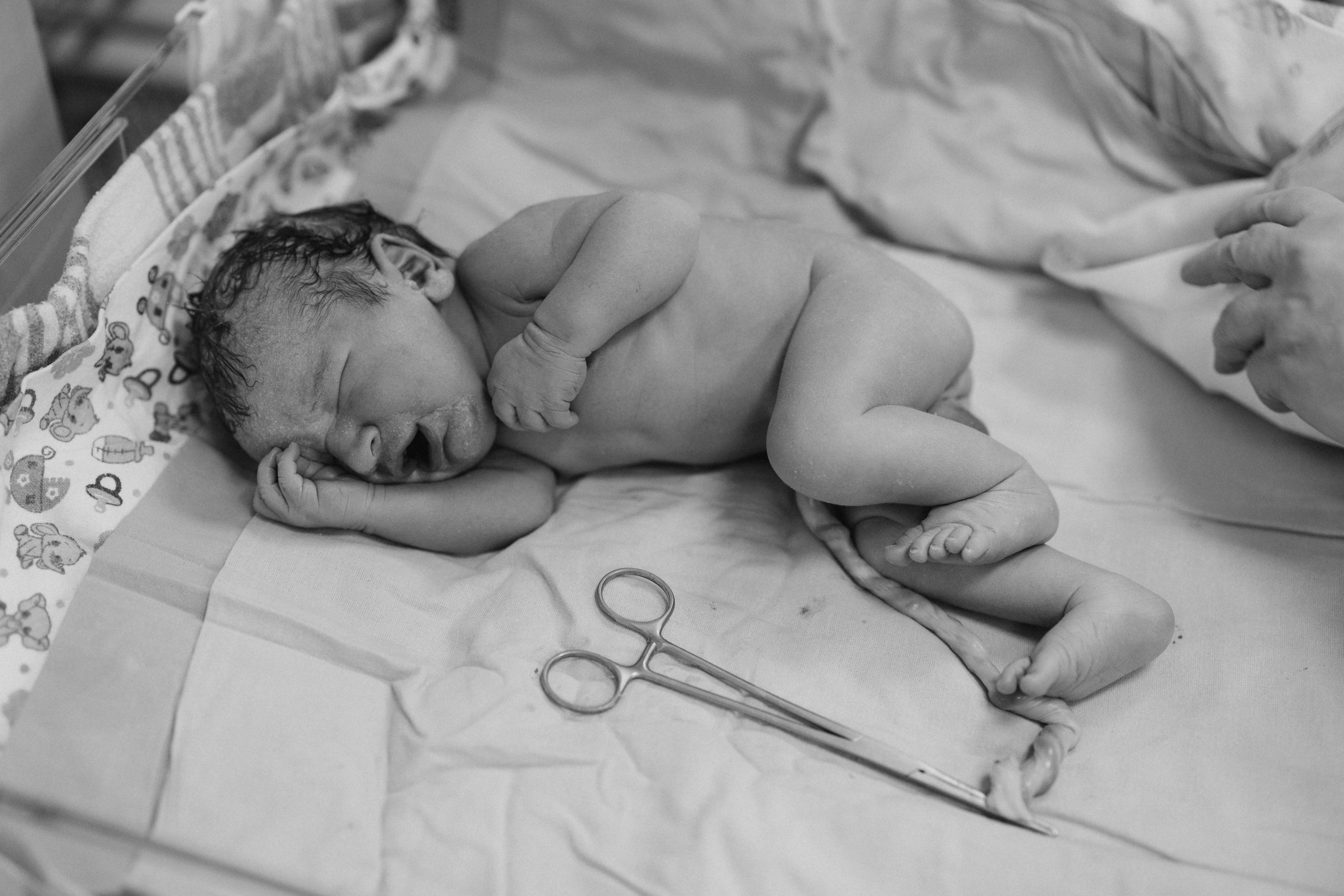 Рождение Владимира. Евгения Пелипас