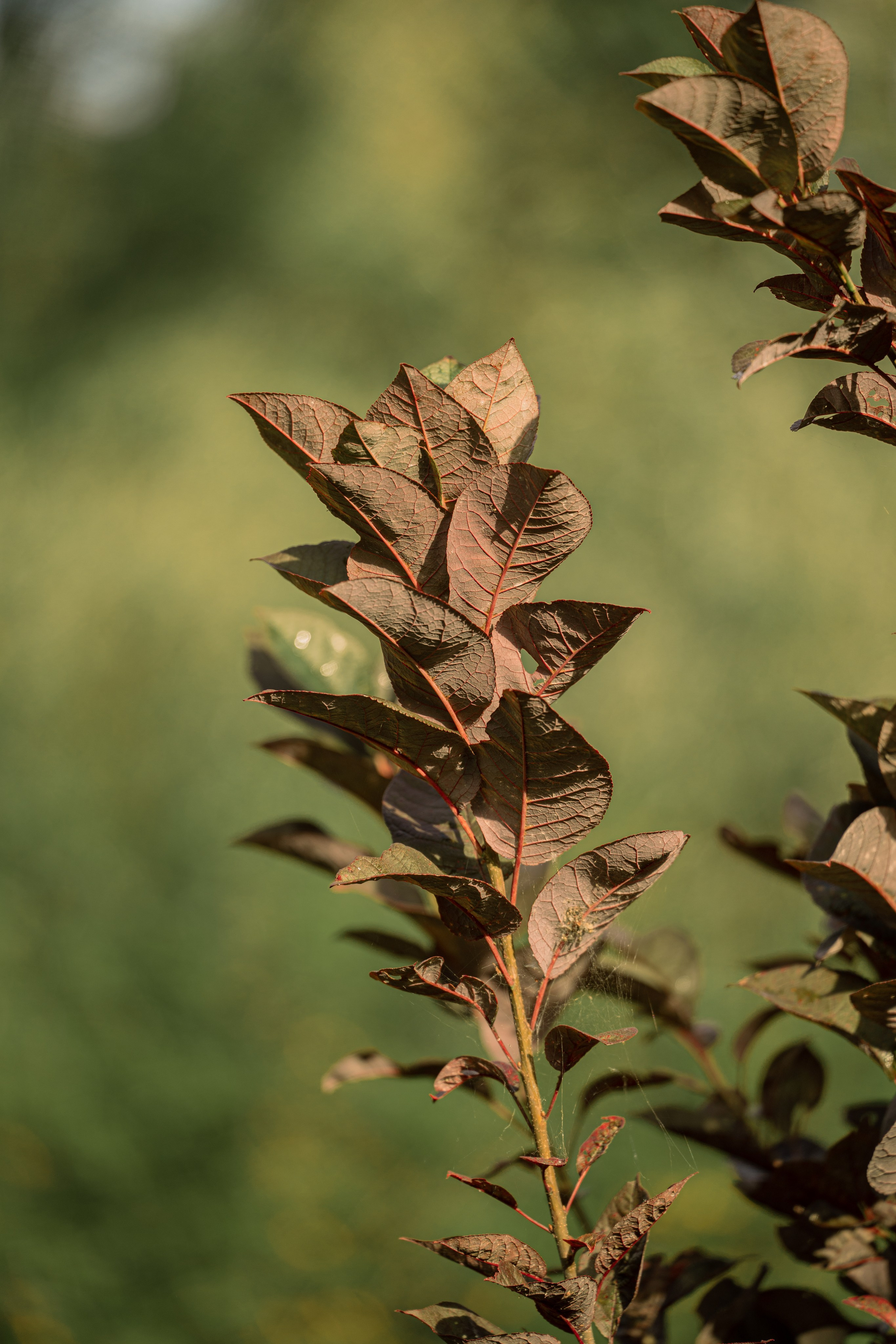 ATMOSPHERE. Фотограф Юрина Ксения Москва
