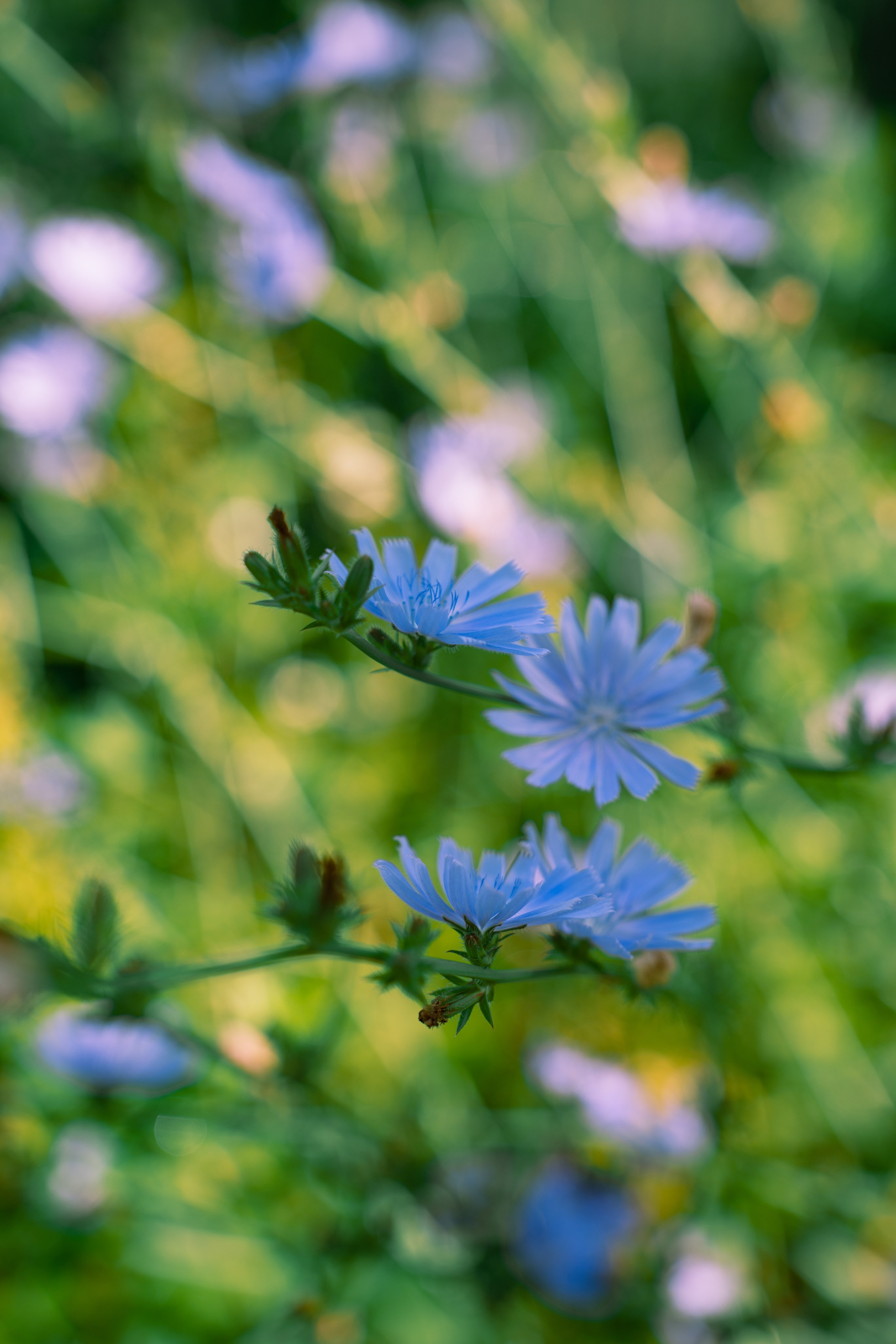 ATMOSPHERE. Фотограф Юрина Ксения Москва