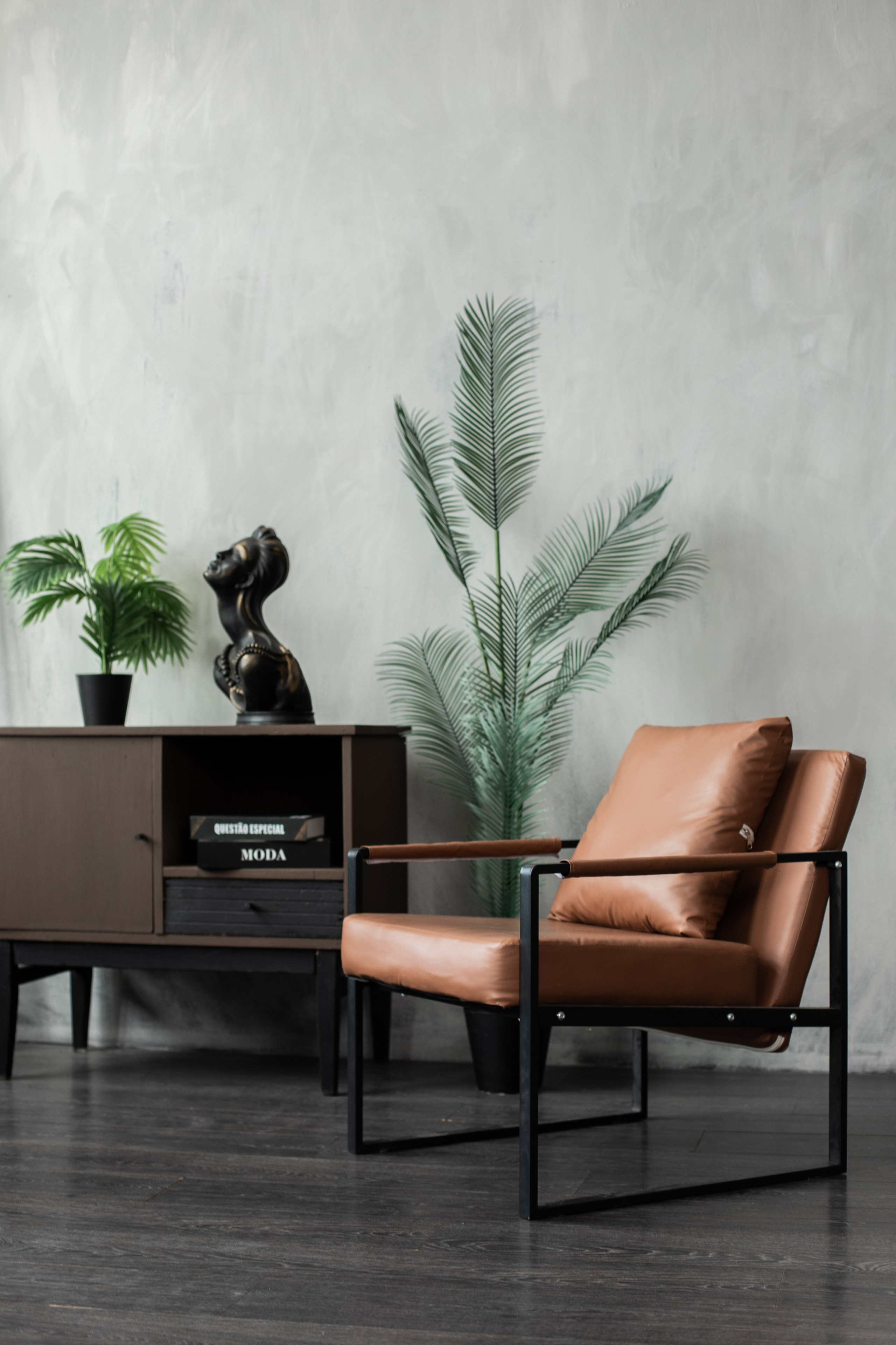 Честер (студия Зеркало). Фотограф г. Хабаровск. Семейные и индивидуальные съёмки