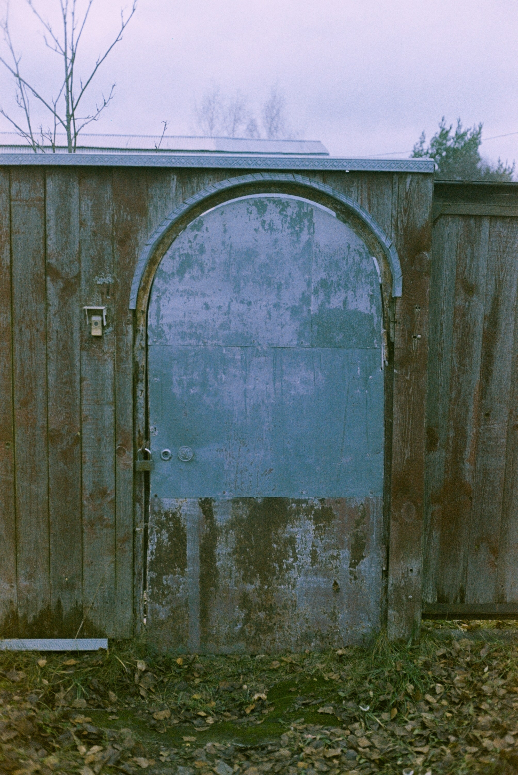 Minolta Hi-Matic 7sII / Kodak Color Plus 200 (просрочка)