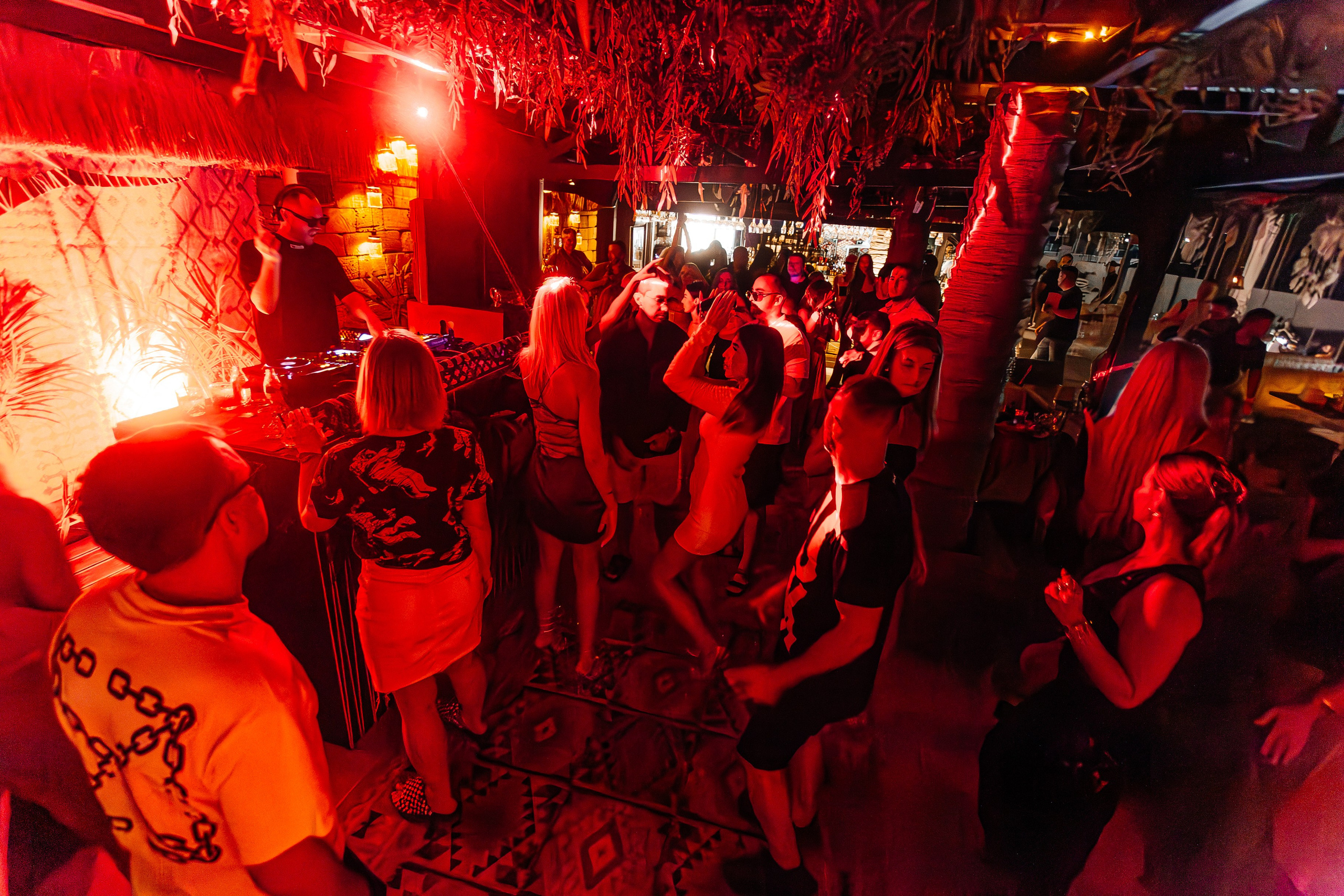 Чайка_на_пляже_Андро_Ялта_24.08.2024. Аминов Руслан | Фотограф