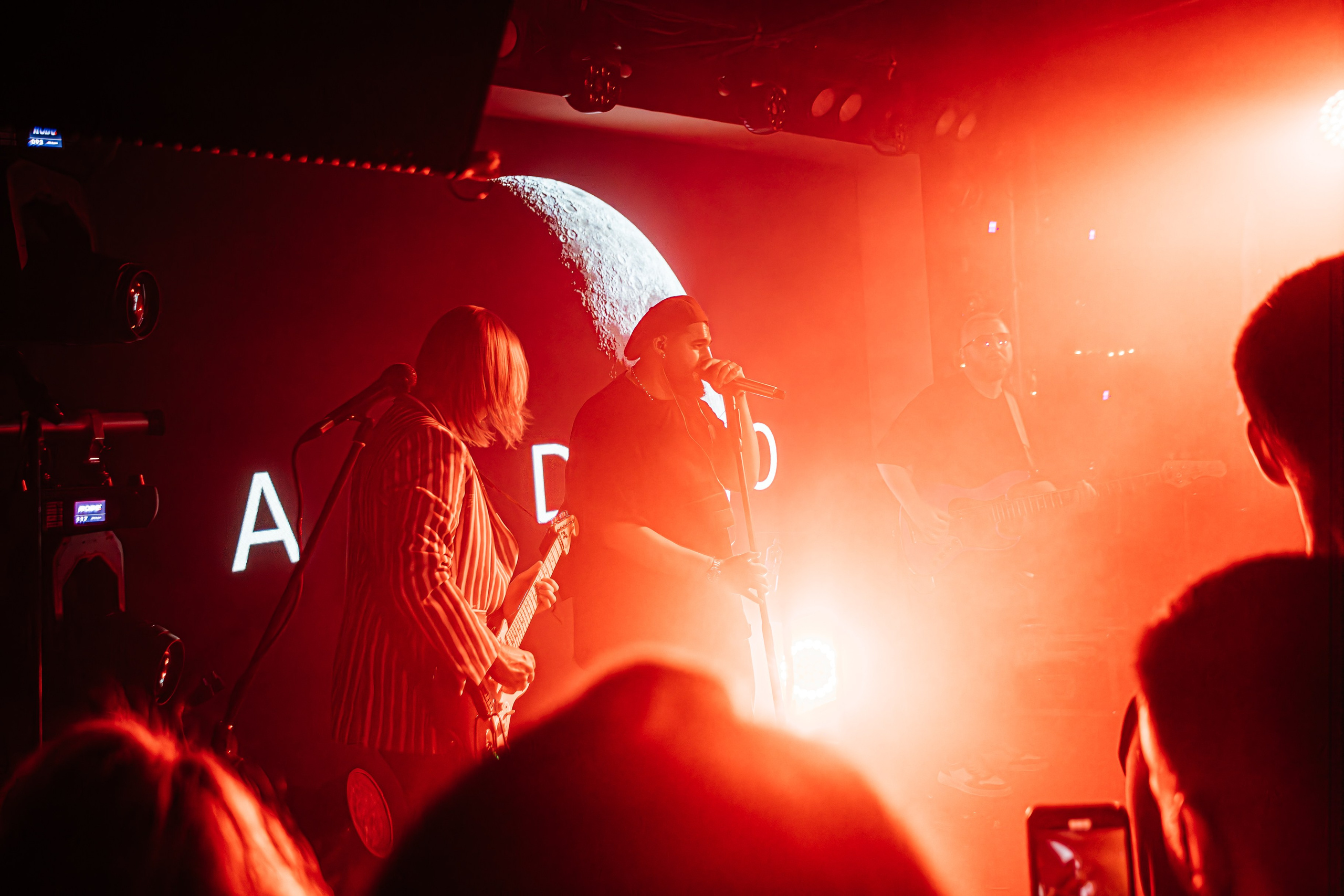 Чайка_на_пляже_Андро_Ялта_24.08.2024. Аминов Руслан | Фотограф