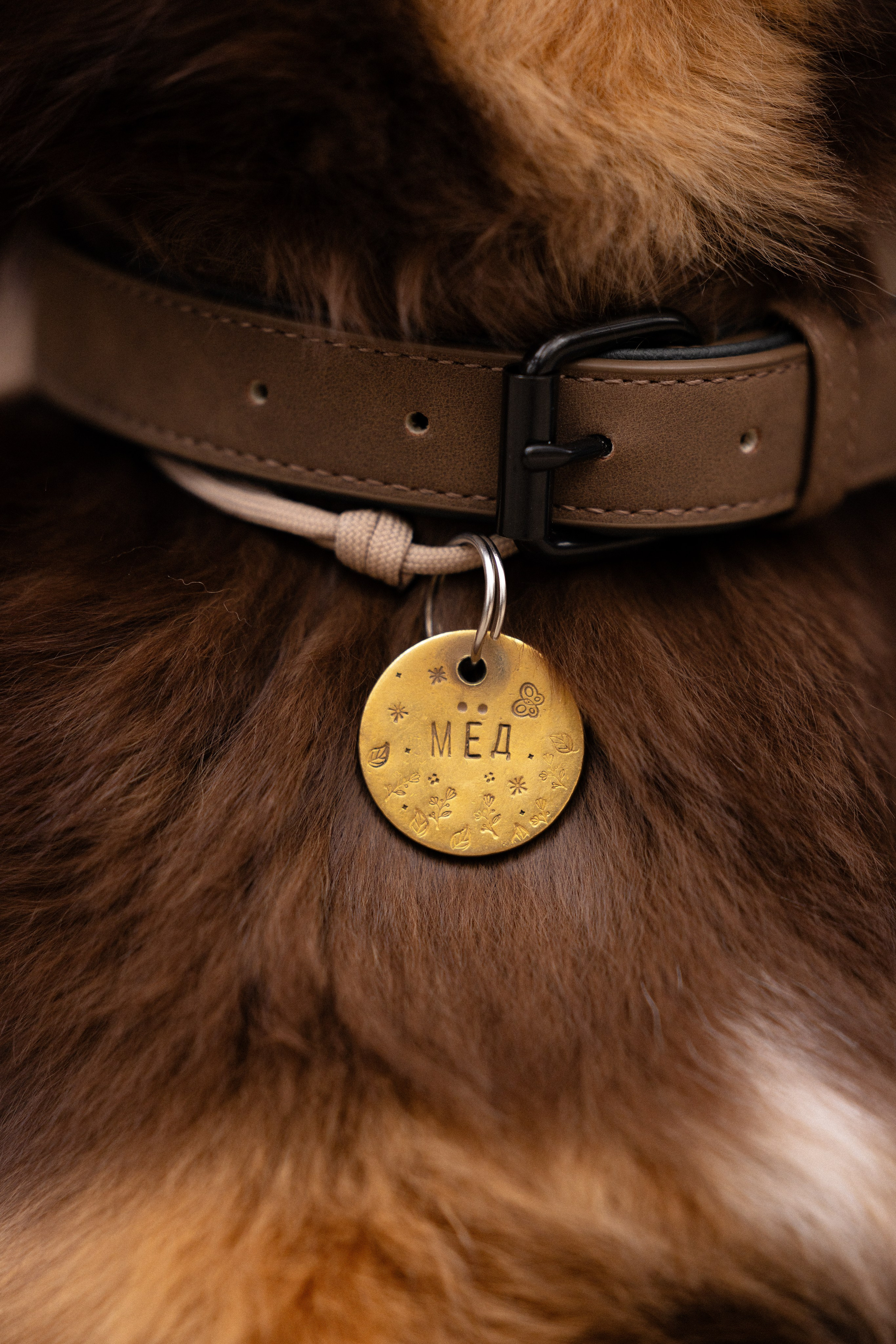 Катя и Мёд. Фотограф и видеограф анималист Аганина Дарья