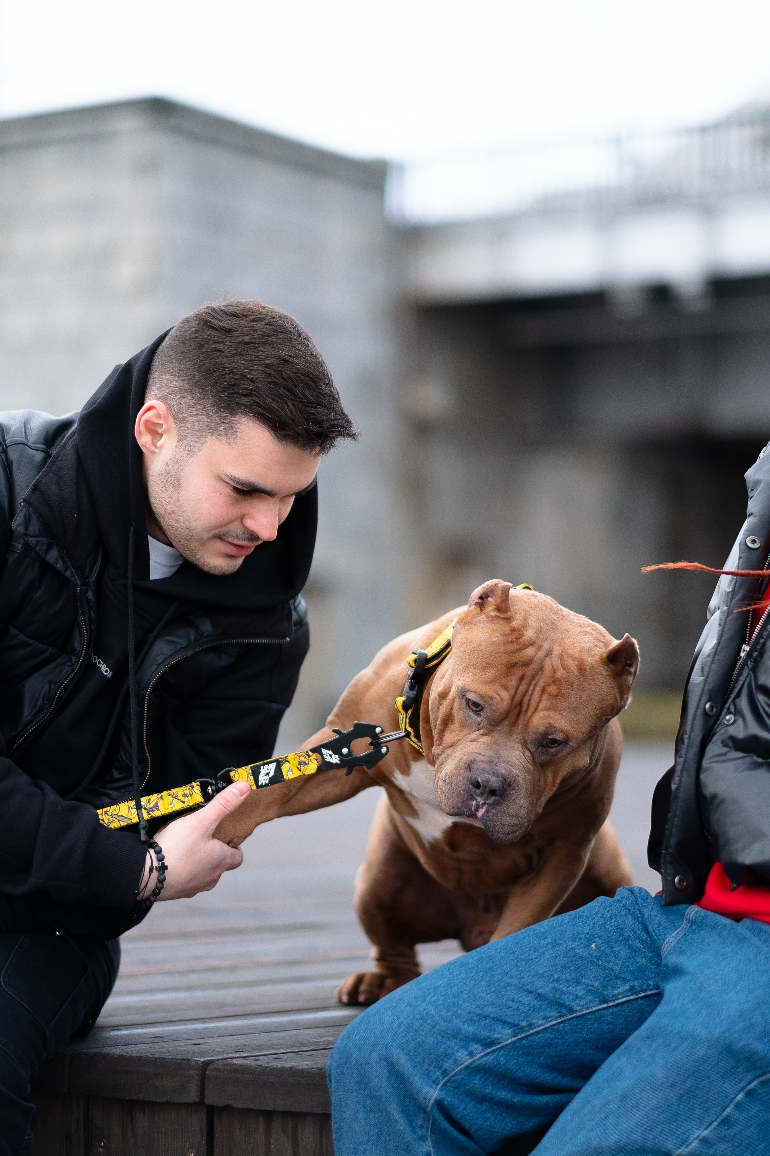 Спай и его семья. Фотограф и видеограф анималист Аганина Дарья