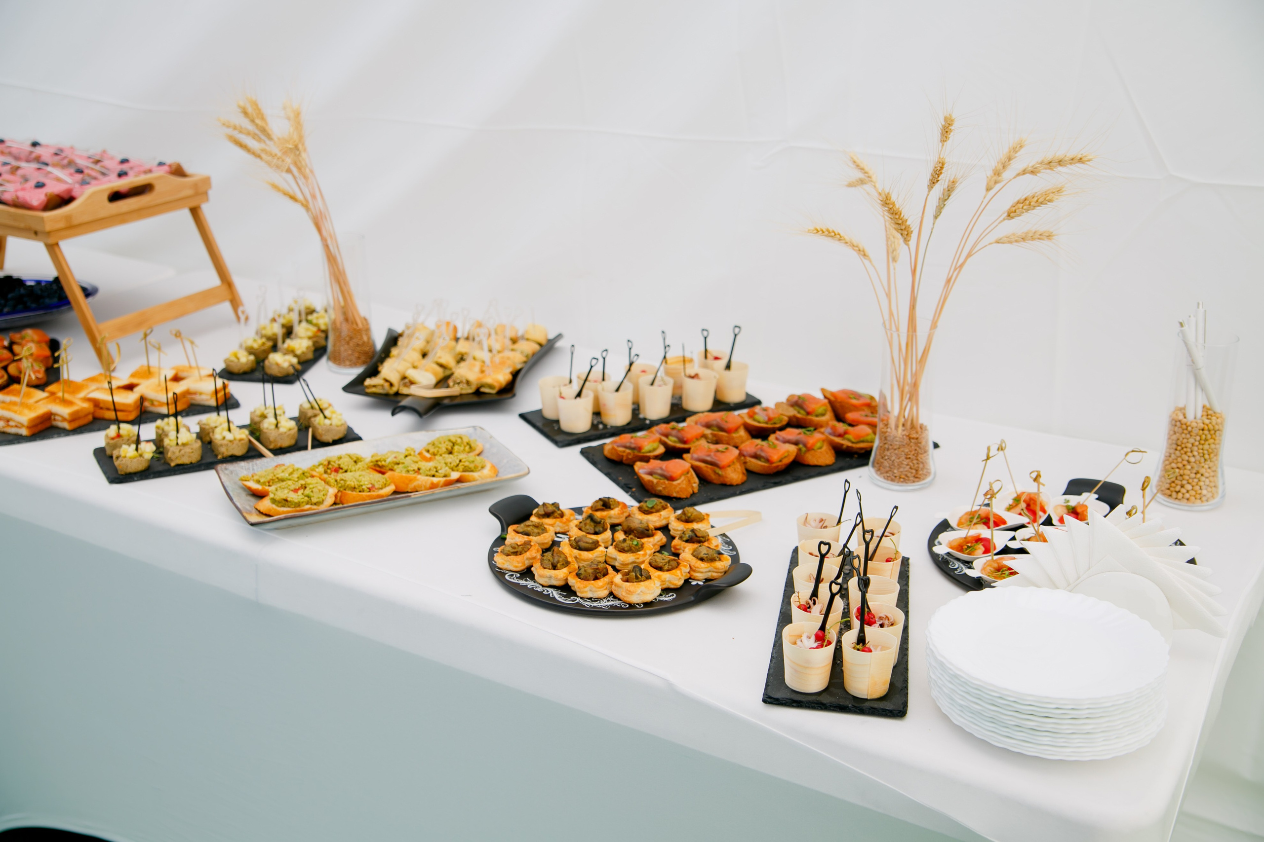 Агротерра. Фотограф Яков Поспехов