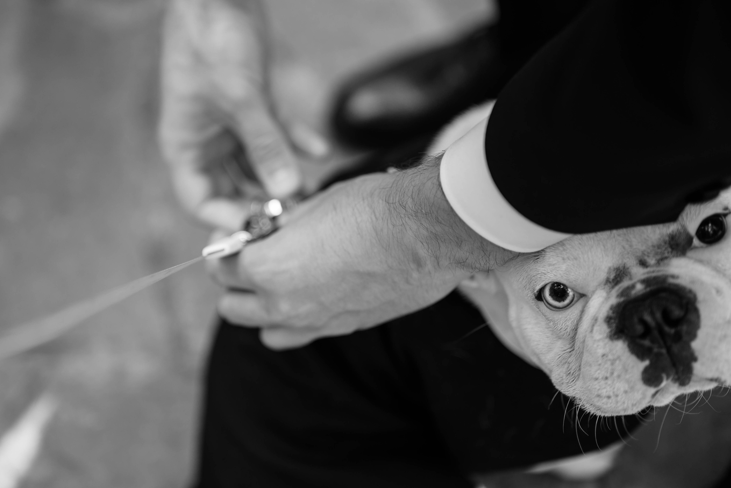 Свадебные съёмки. Главная