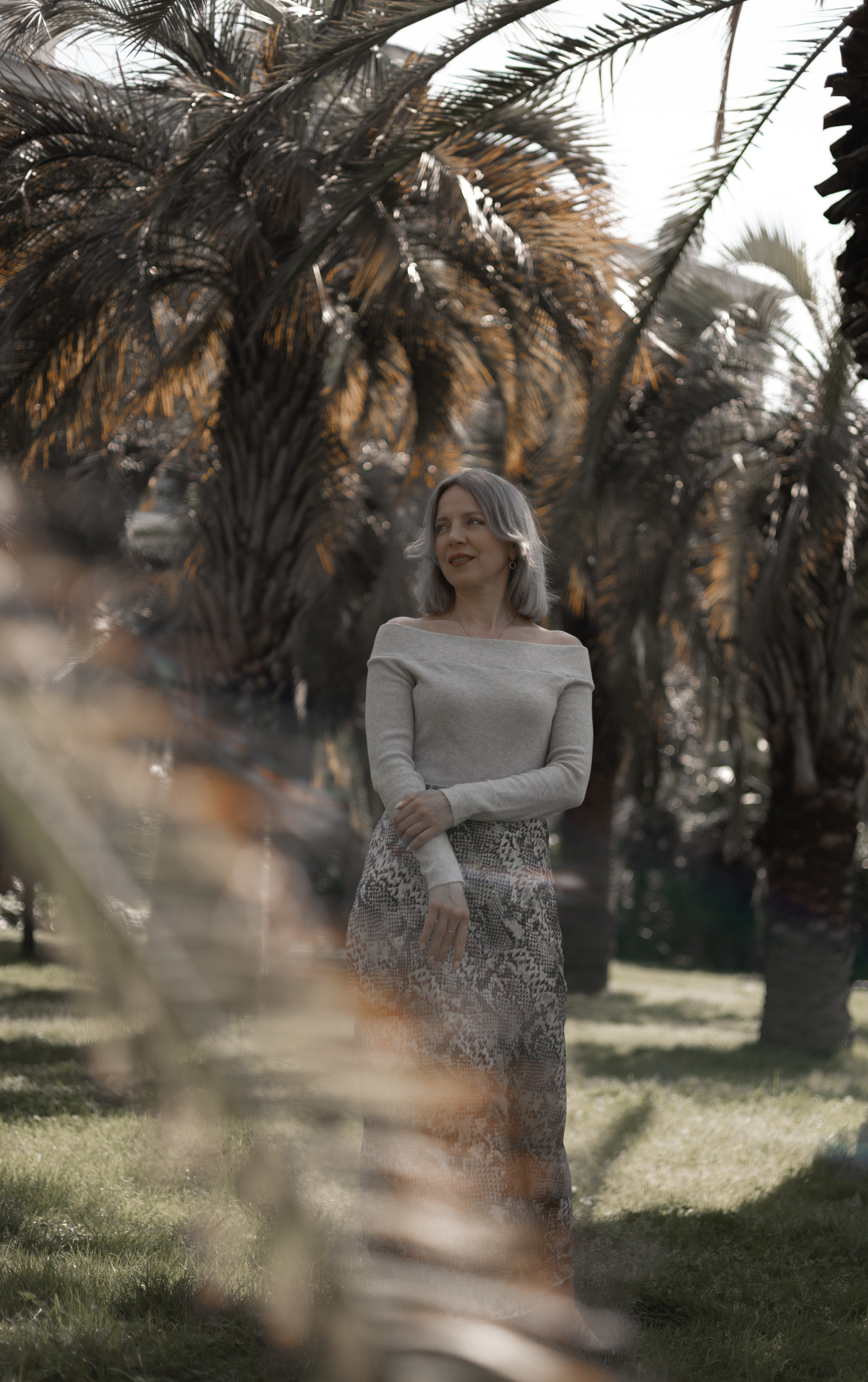 Пальмы. Главная